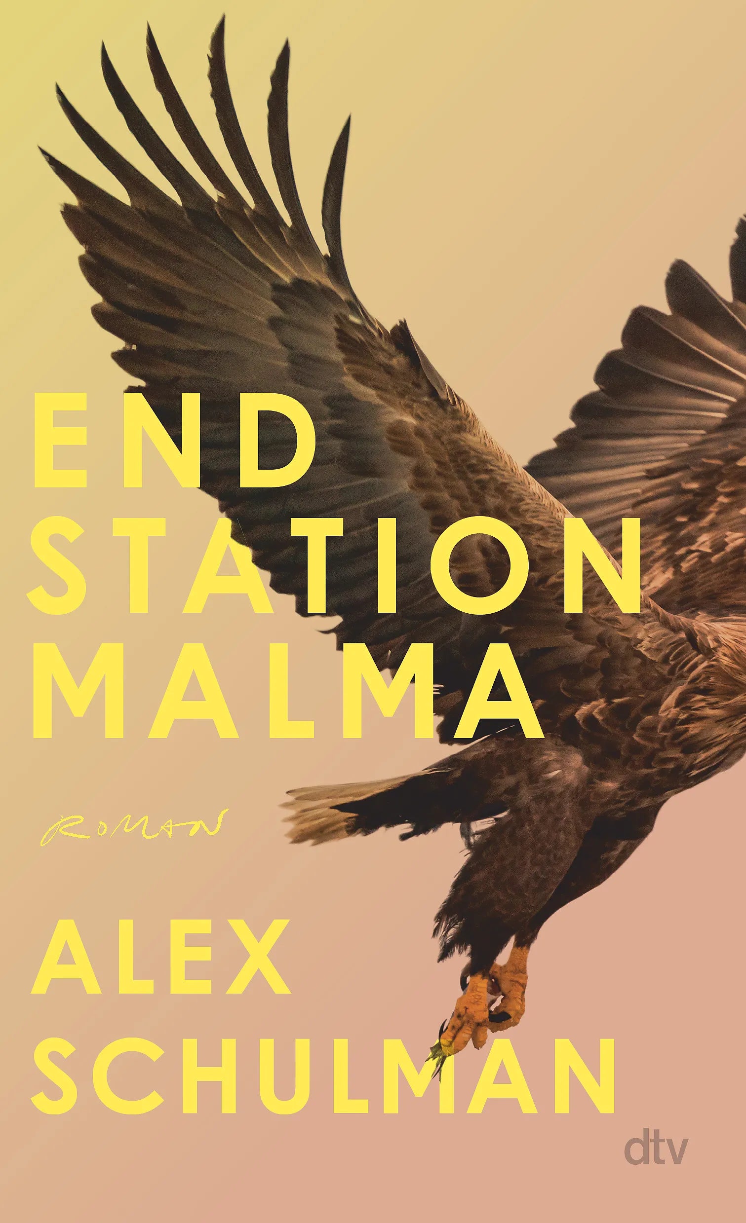 Buchcover von 'Endstation Malma' - Gebundene Ausgabe von Alex Schulman