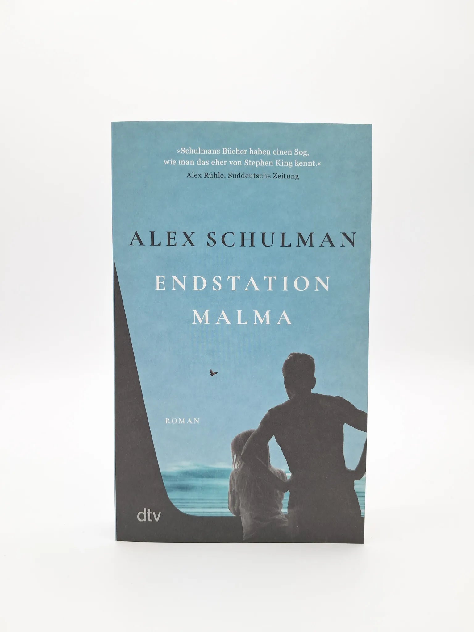 Produktansicht: Endstation Malma (Taschenbuch)