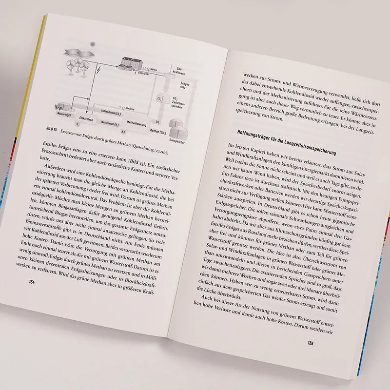 Produktansicht: Energierevolution jetzt! (Paperback)