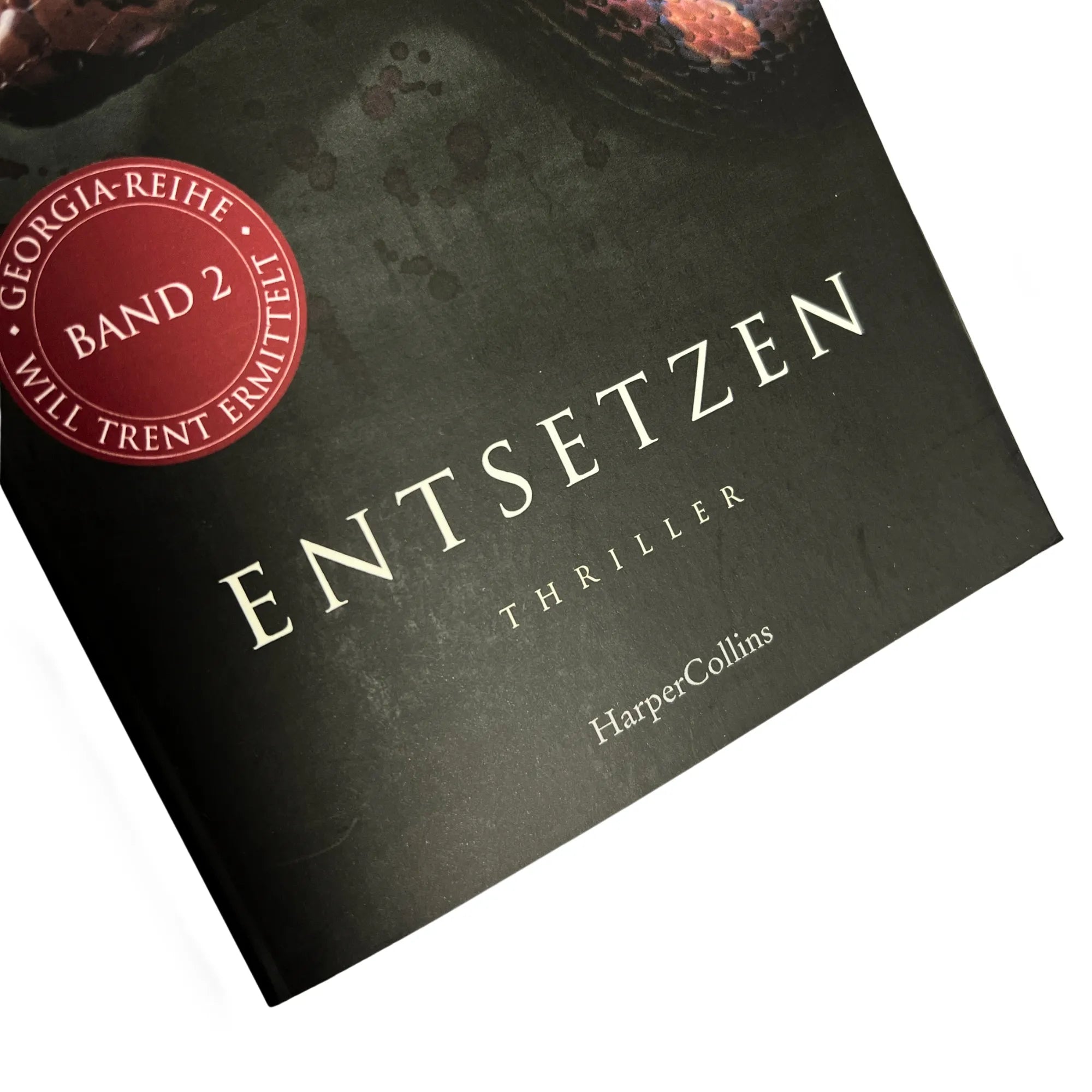 Detailansicht: Entsetzen (Taschenbuch)