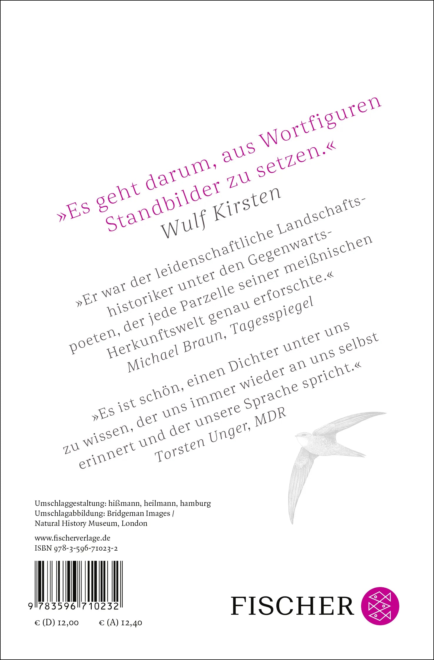 Buchrückseite von 'Erdanziehung' mit Klappentext - Taschenbuch