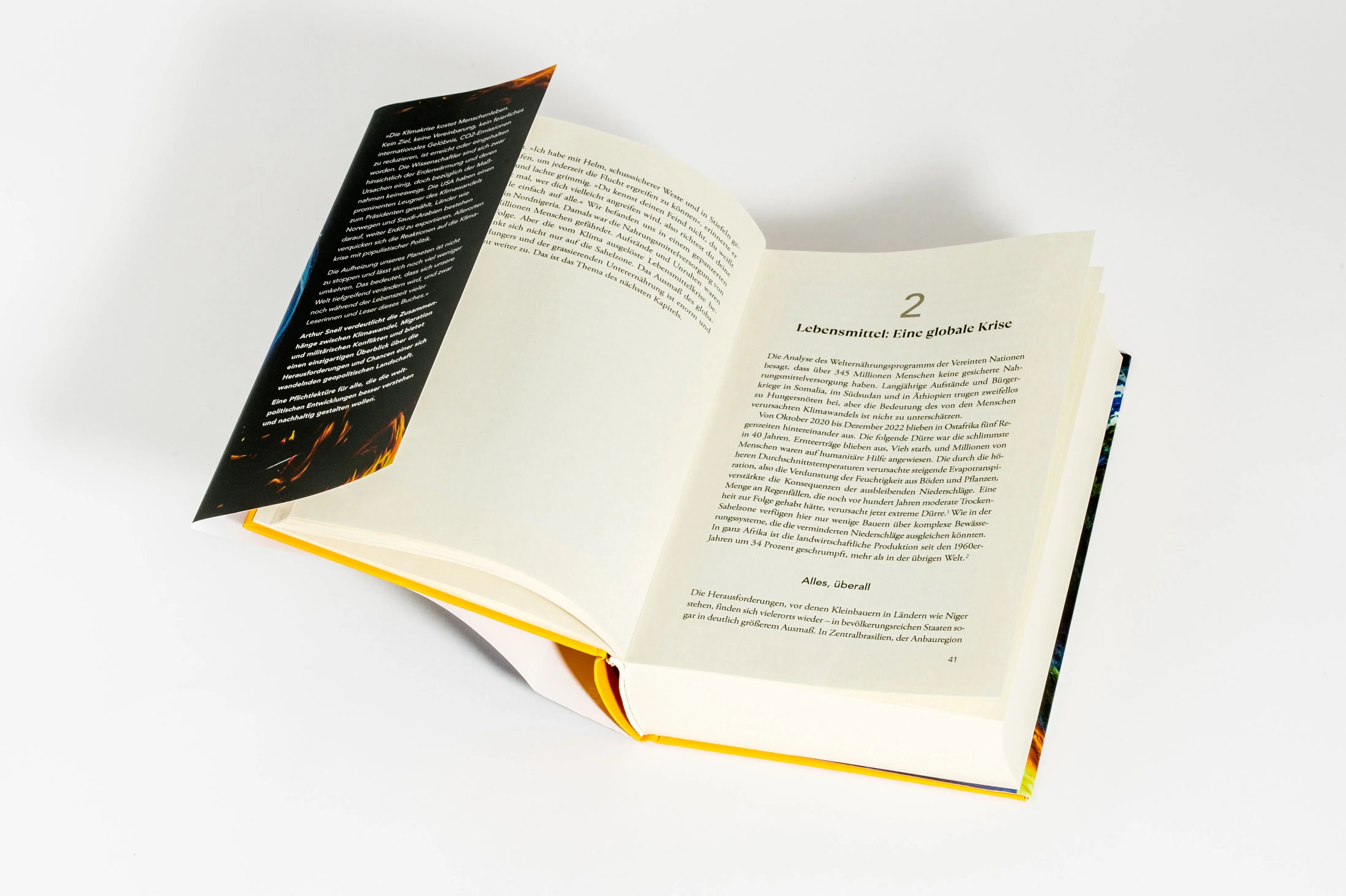 Detailansicht: Erde, Luft, Feuer, Wasser (Hardcover)