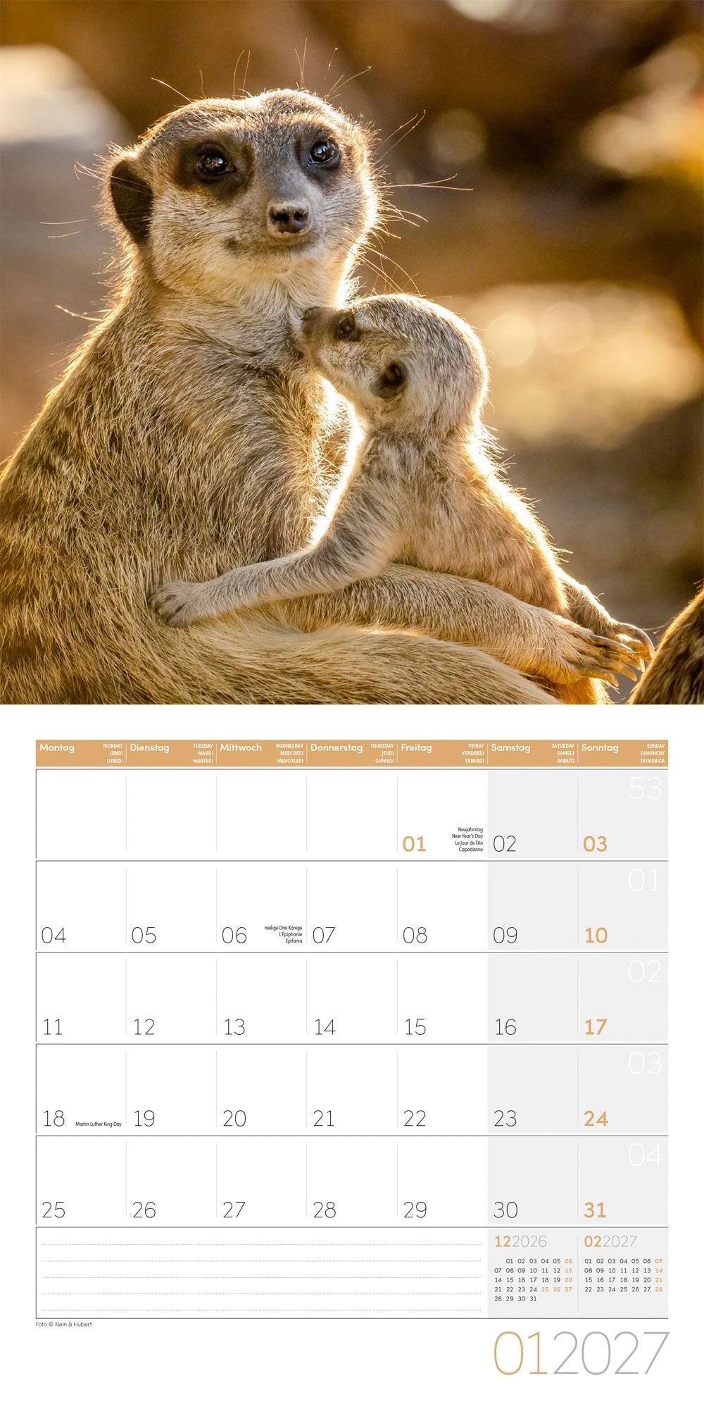 Erdmännchen Kalender 2027 - 30x30 - Art12 – Ansicht