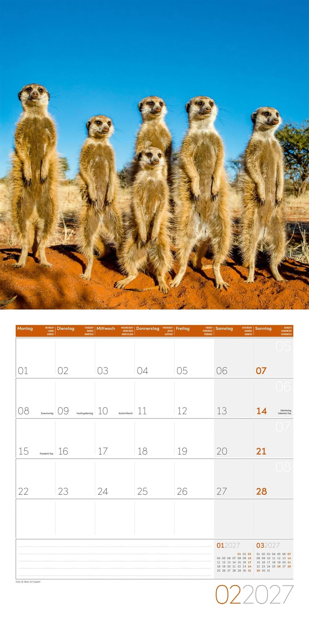 Erdmännchen Kalender 2027 - 30x30 - Art12 – Ansicht