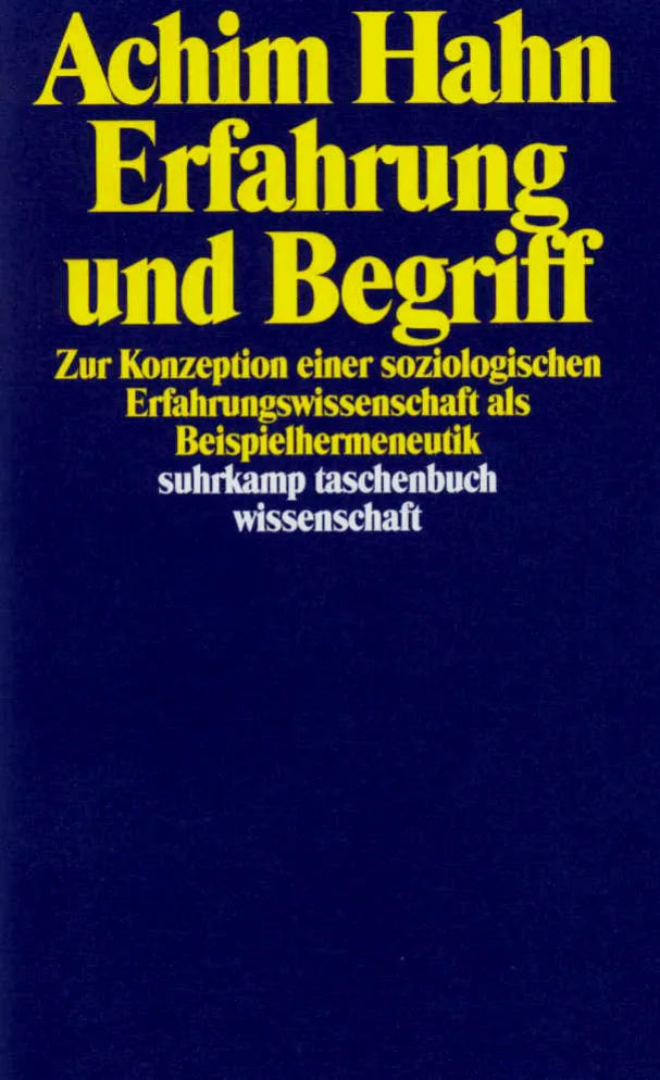 Buchcover von 'Erfahrung und Begriff' - Taschenbuch von Achim Hahn