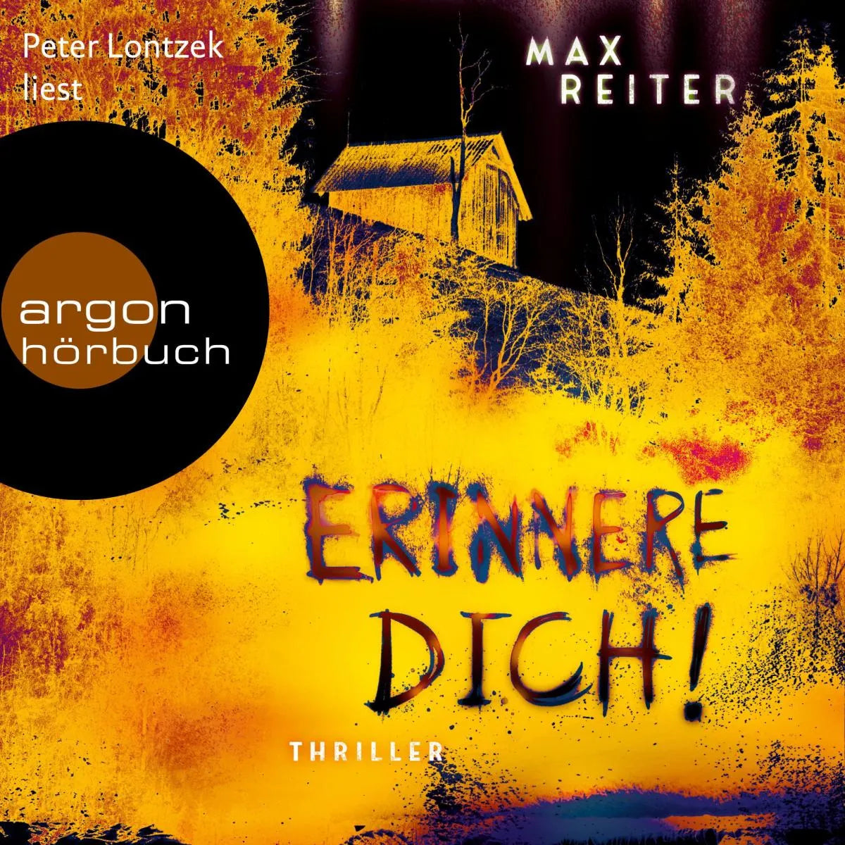 Cover: Erinnere dich! (Hörbuch Download) von Max Reiter