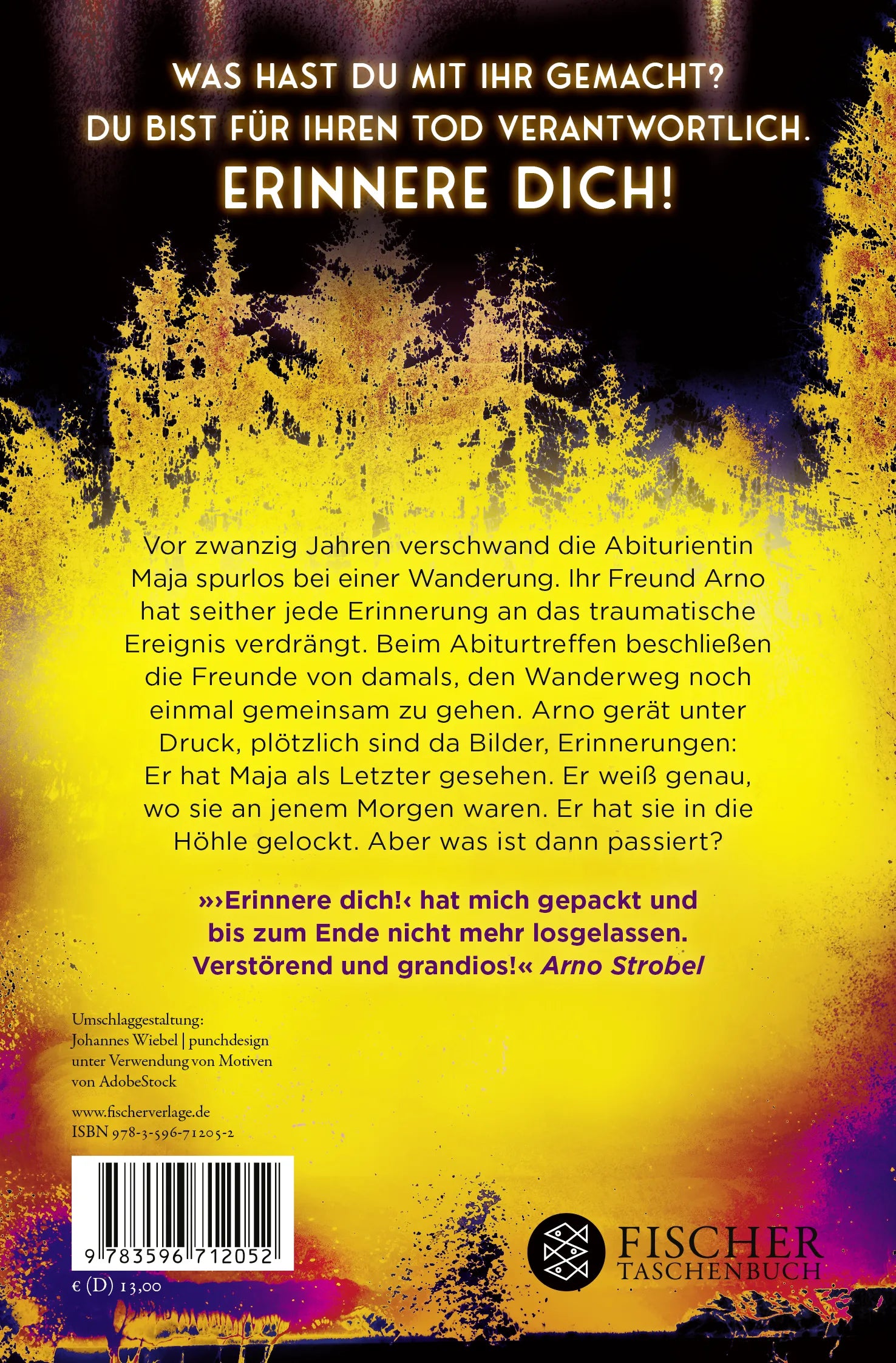 Buchrückseite von 'Erinnere dich!' mit Klappentext - Taschenbuch
