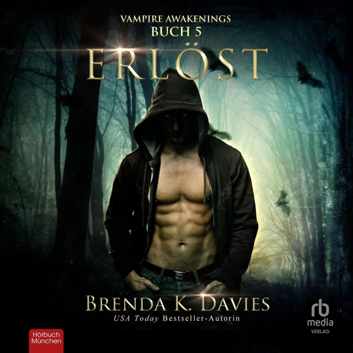Cover: Erlöst (Hörbuch Download) von Brenda K. Davies