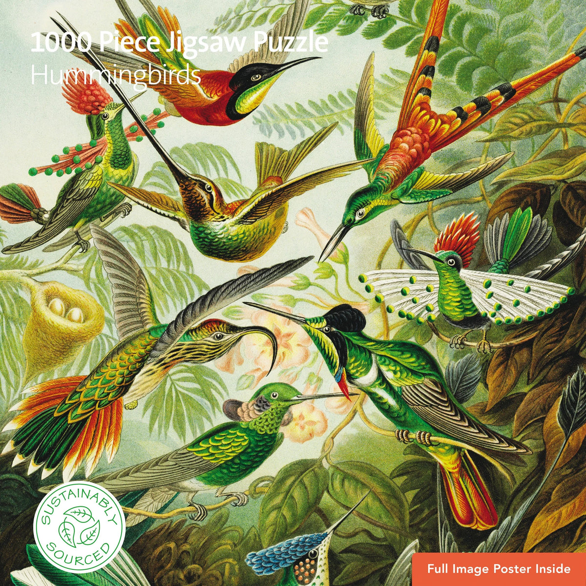 Puzzle: Puzzle – Ernst Haeckel, Kolibris