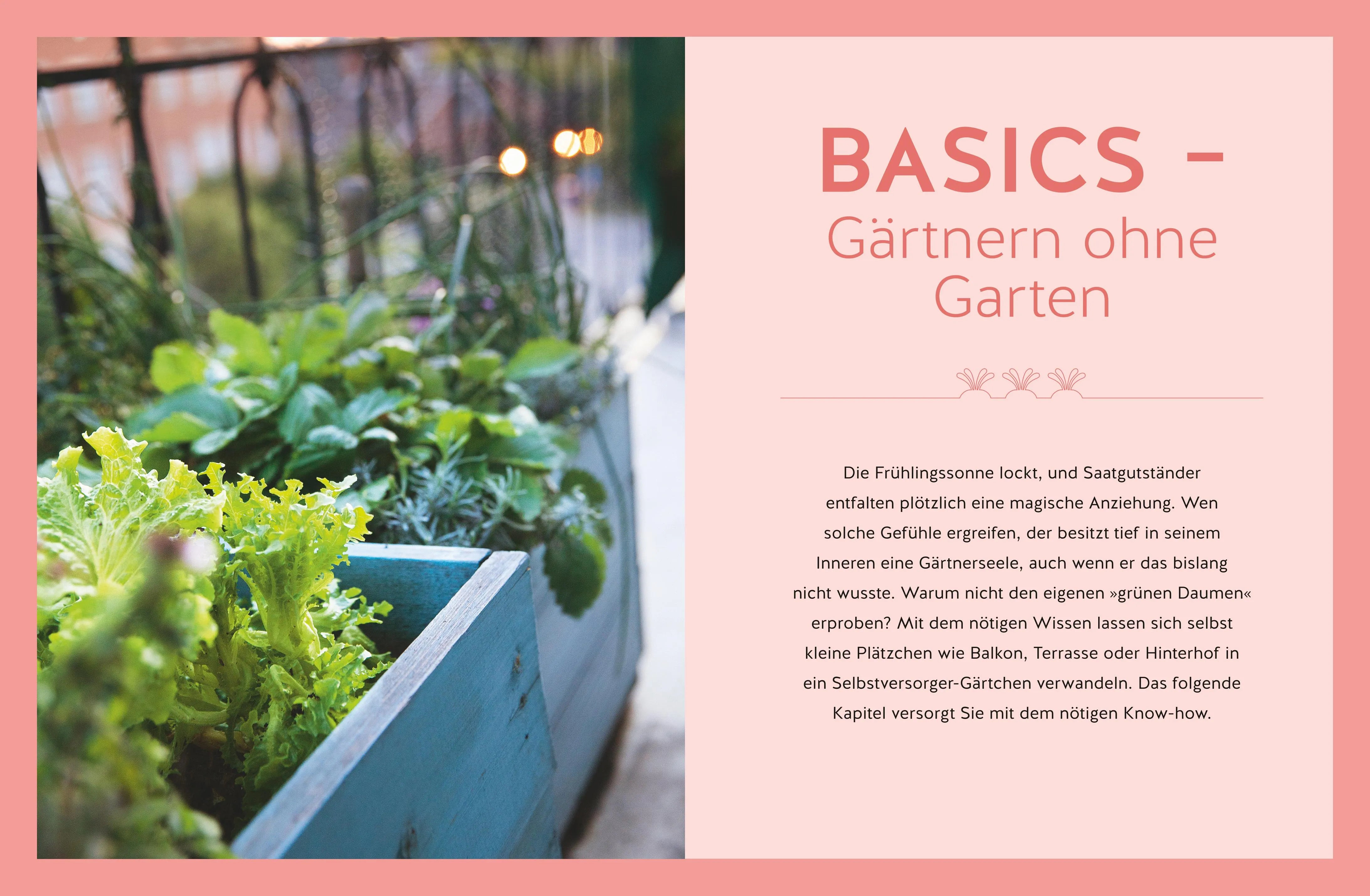 Innenansicht von 'Ernteglück auch ohne Garten' - Gebundene Ausgabe