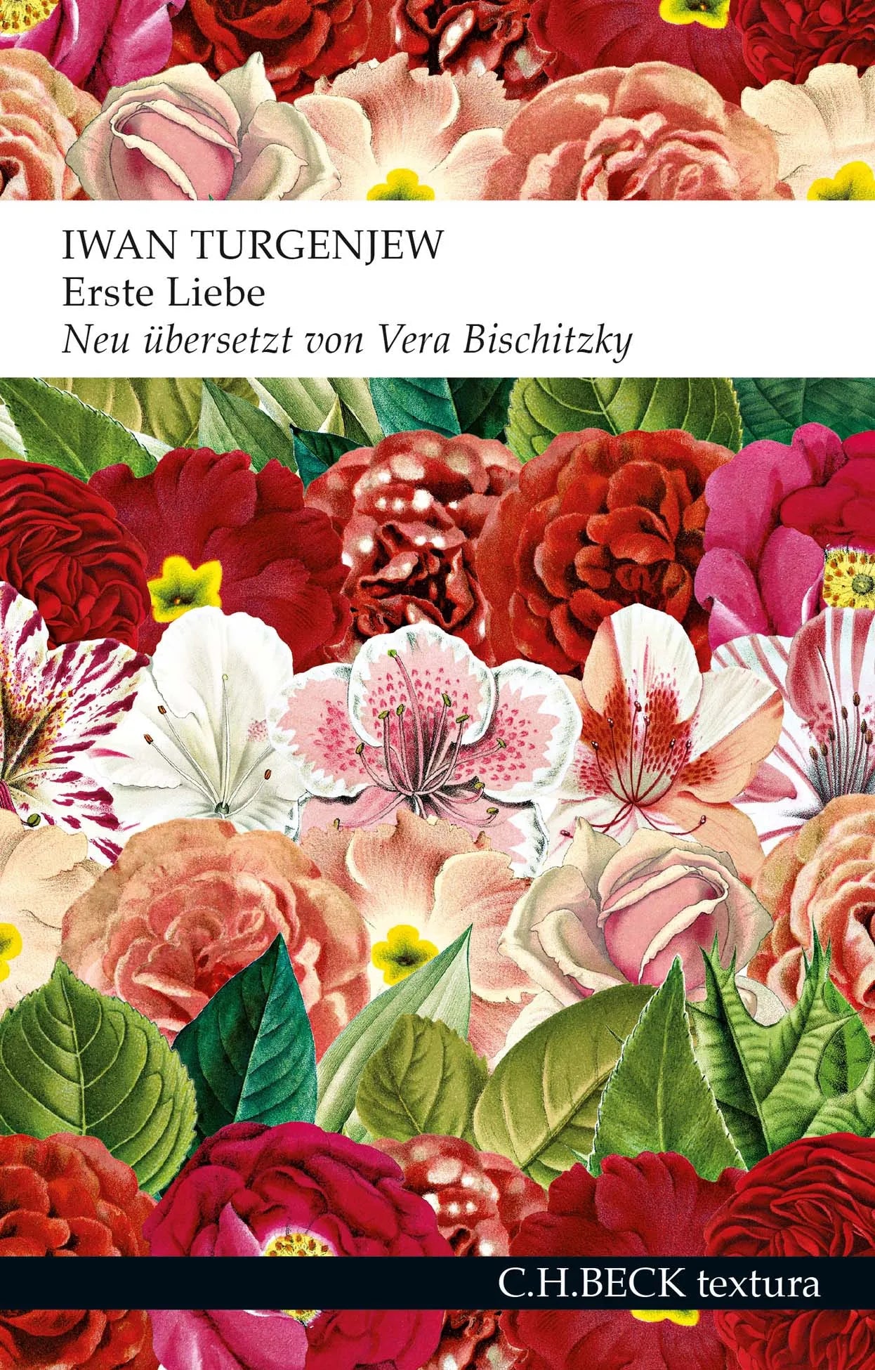 Buchcover von 'Erste Liebe' - Taschenbuch von Iwan Turgenjew