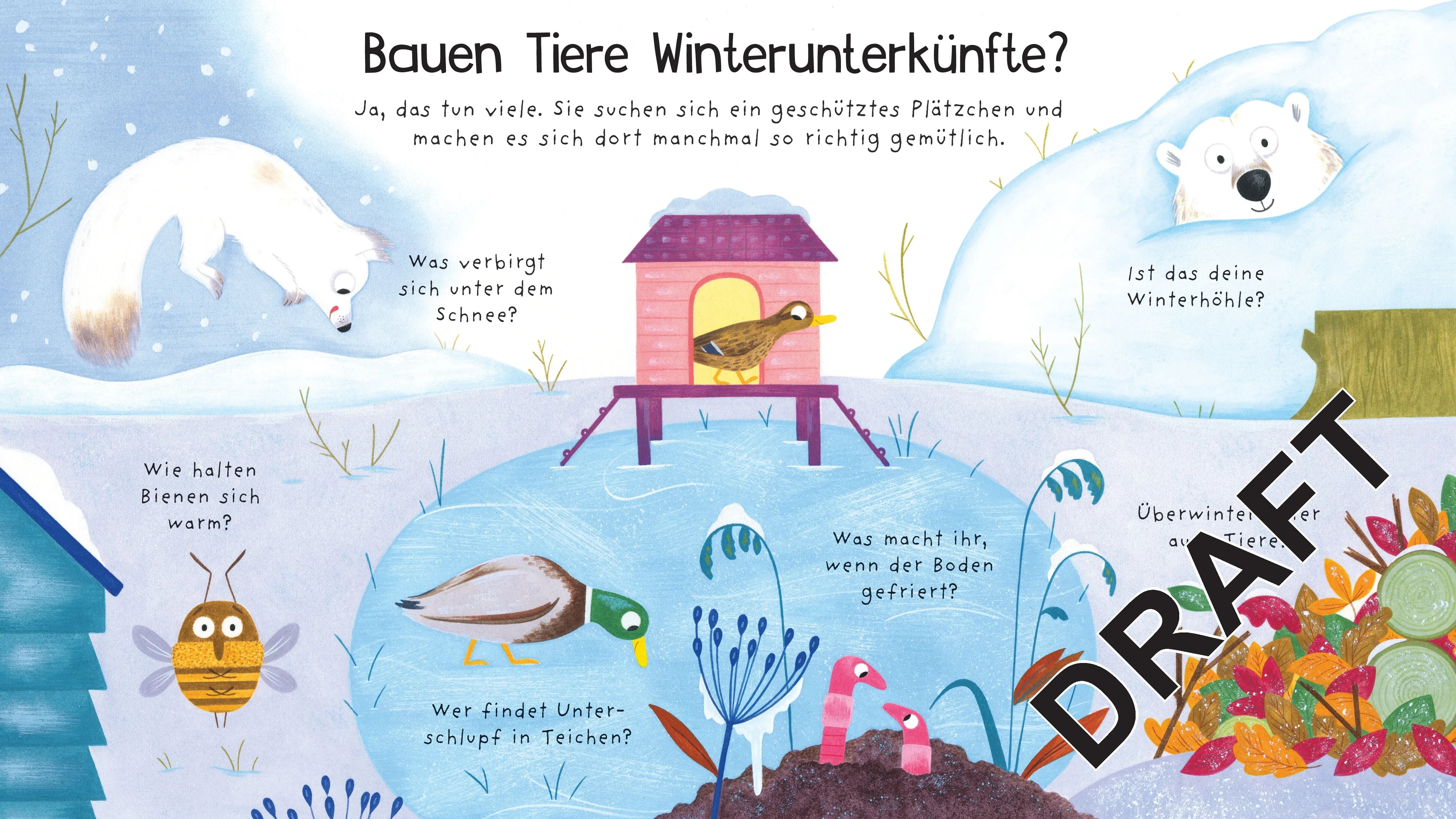 Katie Daynes - Erstes Aufklappen und Verstehen: Wo sind die Tiere im Winter?