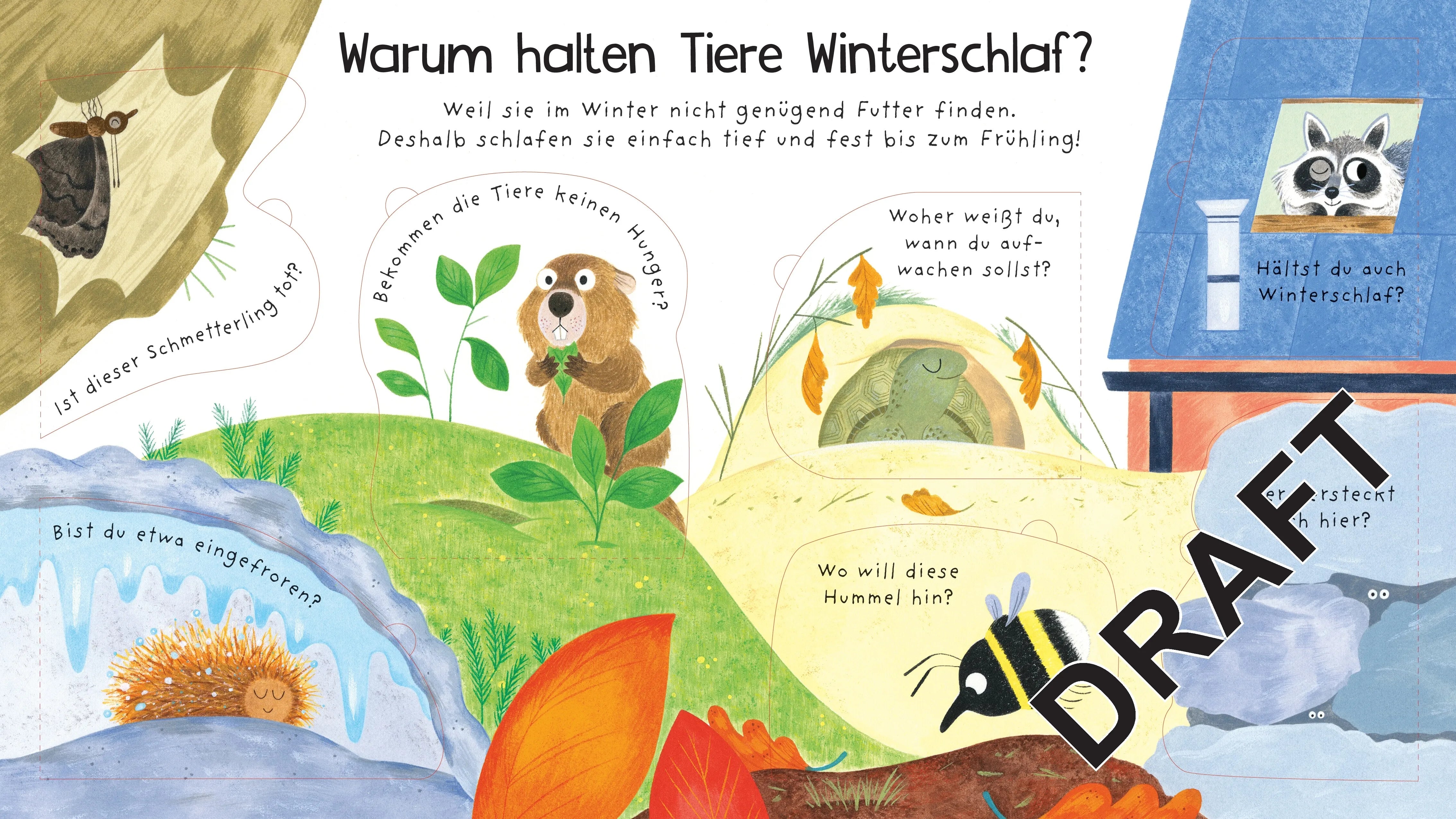 Produktansicht: Erstes Aufklappen und Verstehen: Wo sind die Tiere im Winter? (Gebundene Ausgabe)