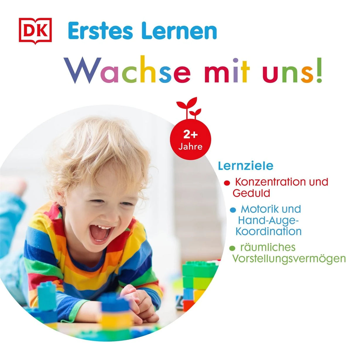 Erstes Lernen Würfelpuzzle. Farben – Ansicht