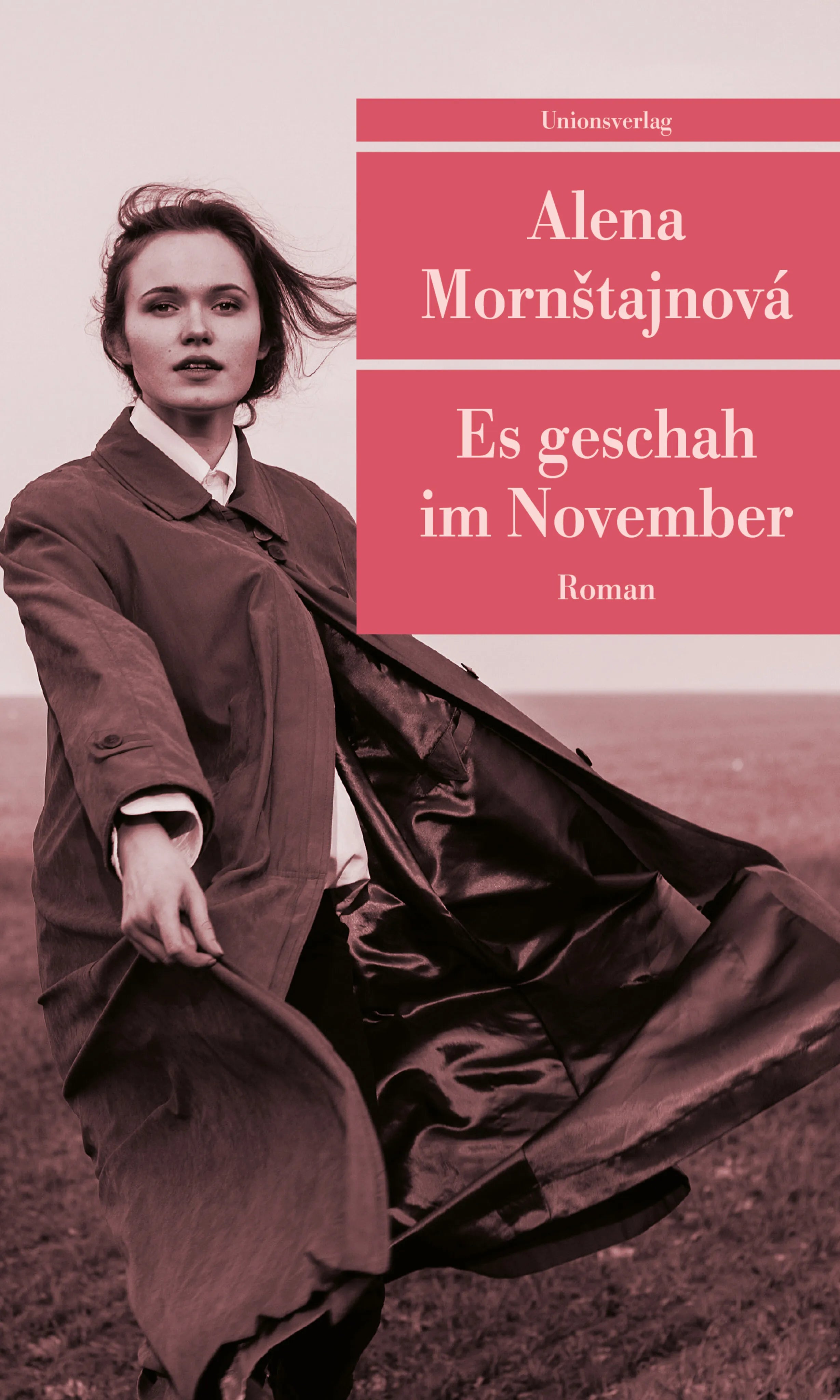 Cover: Es geschah im November (Taschenbuch) von Alena Mornštajnová