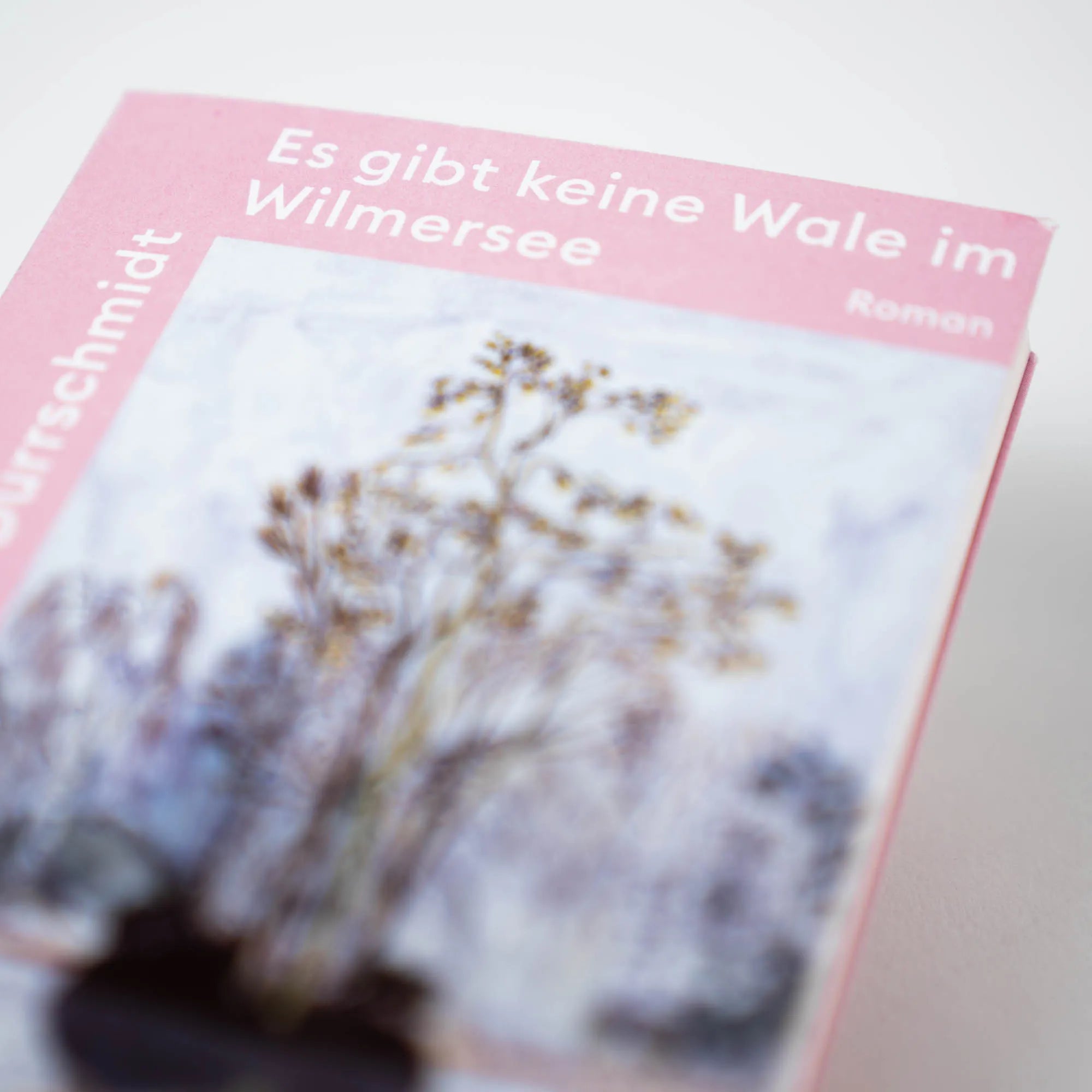 Abbildung von 'Es gibt keine Wale im Wilmersee'
