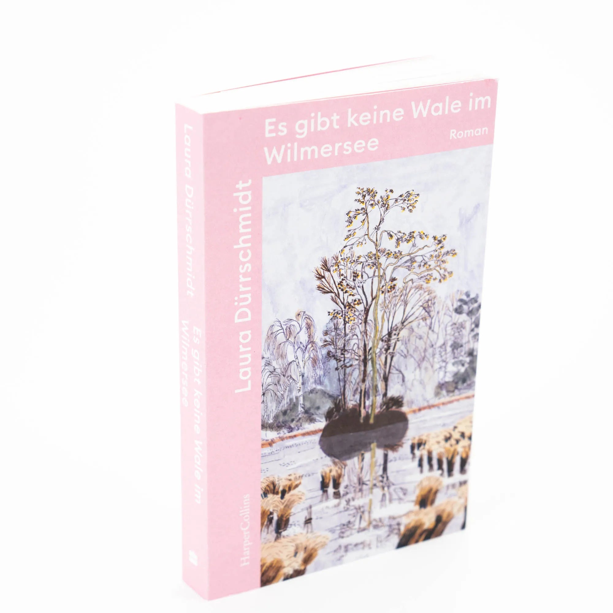 Produktansicht: Es gibt keine Wale im Wilmersee (Taschenbuch)