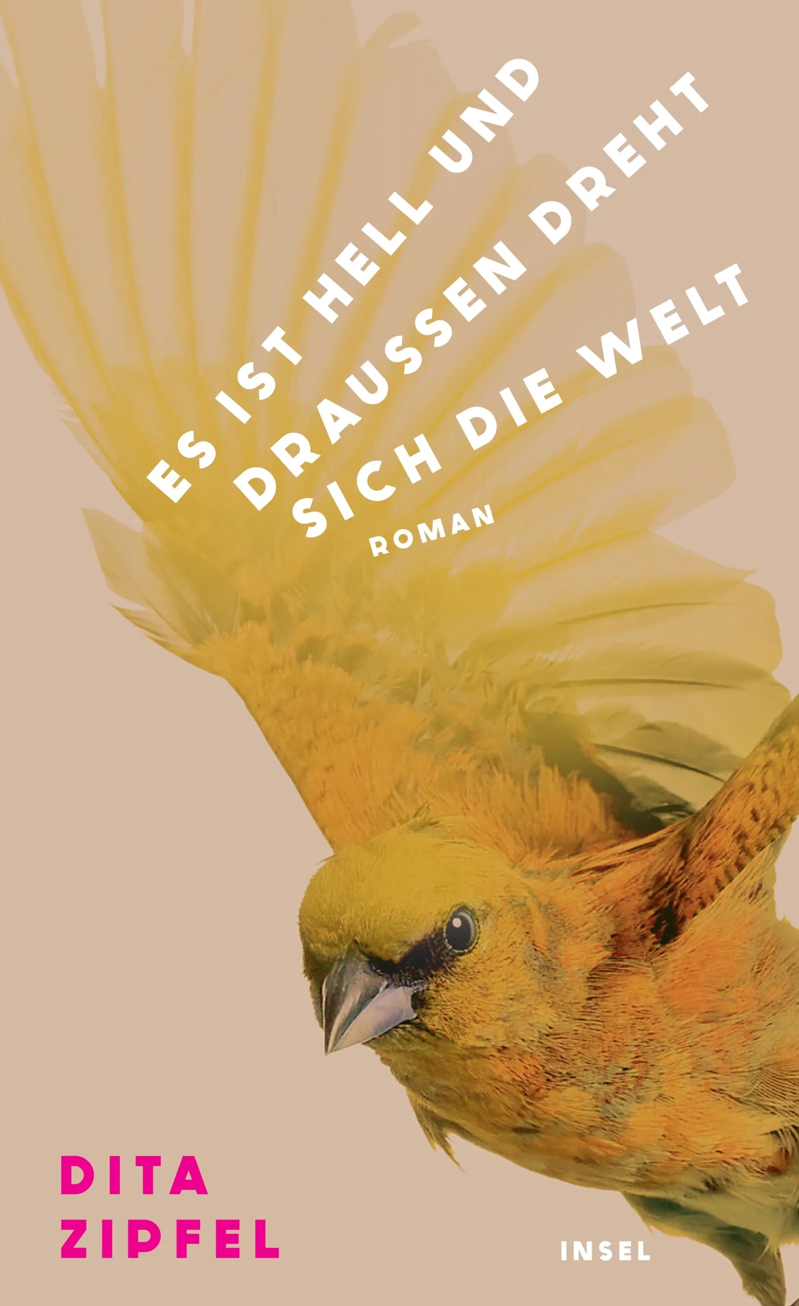 Cover: Es ist hell und draußen dreht sich die Welt (E-Book) von Dita Zipfel