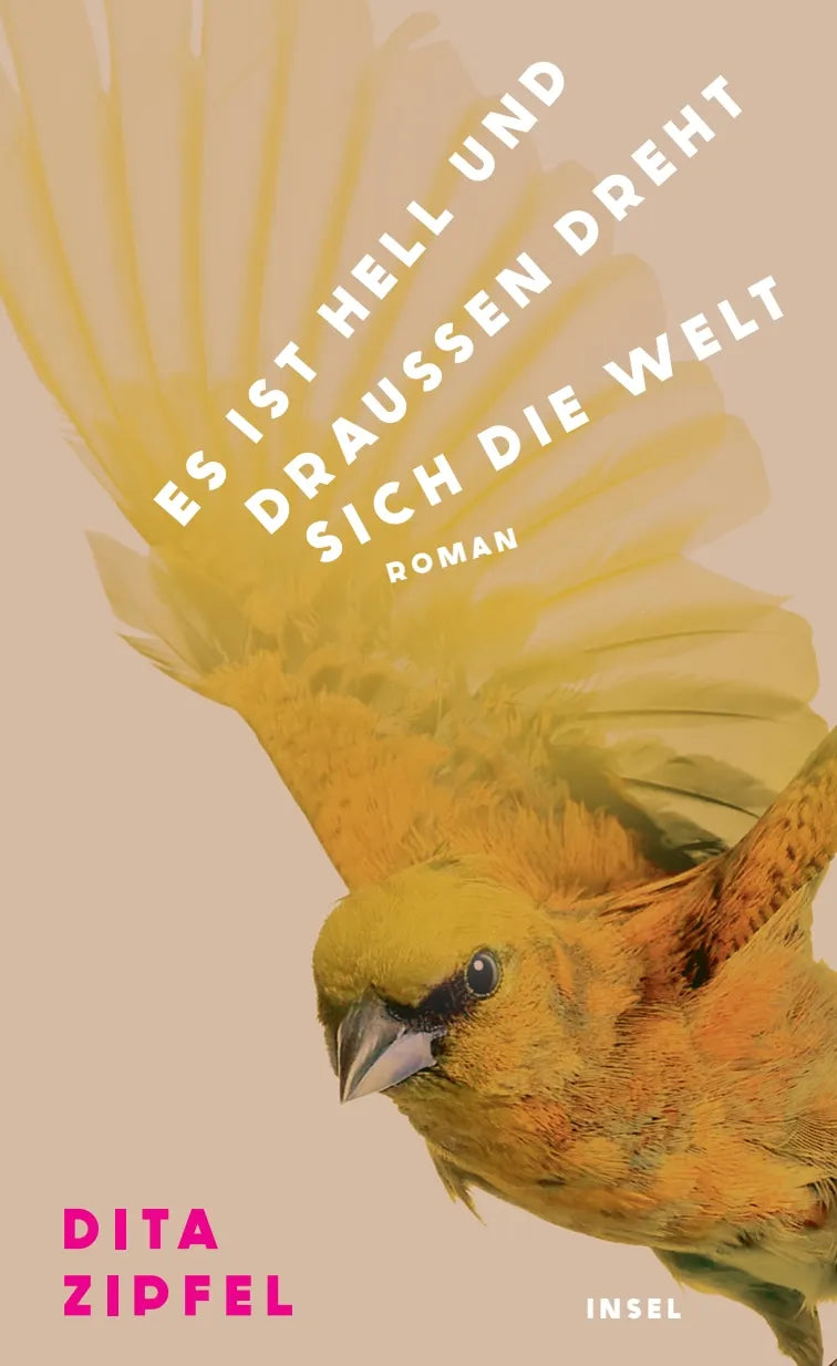 Cover: Es ist hell und draußen dreht sich die Welt (Hardcover) von Dita Zipfel