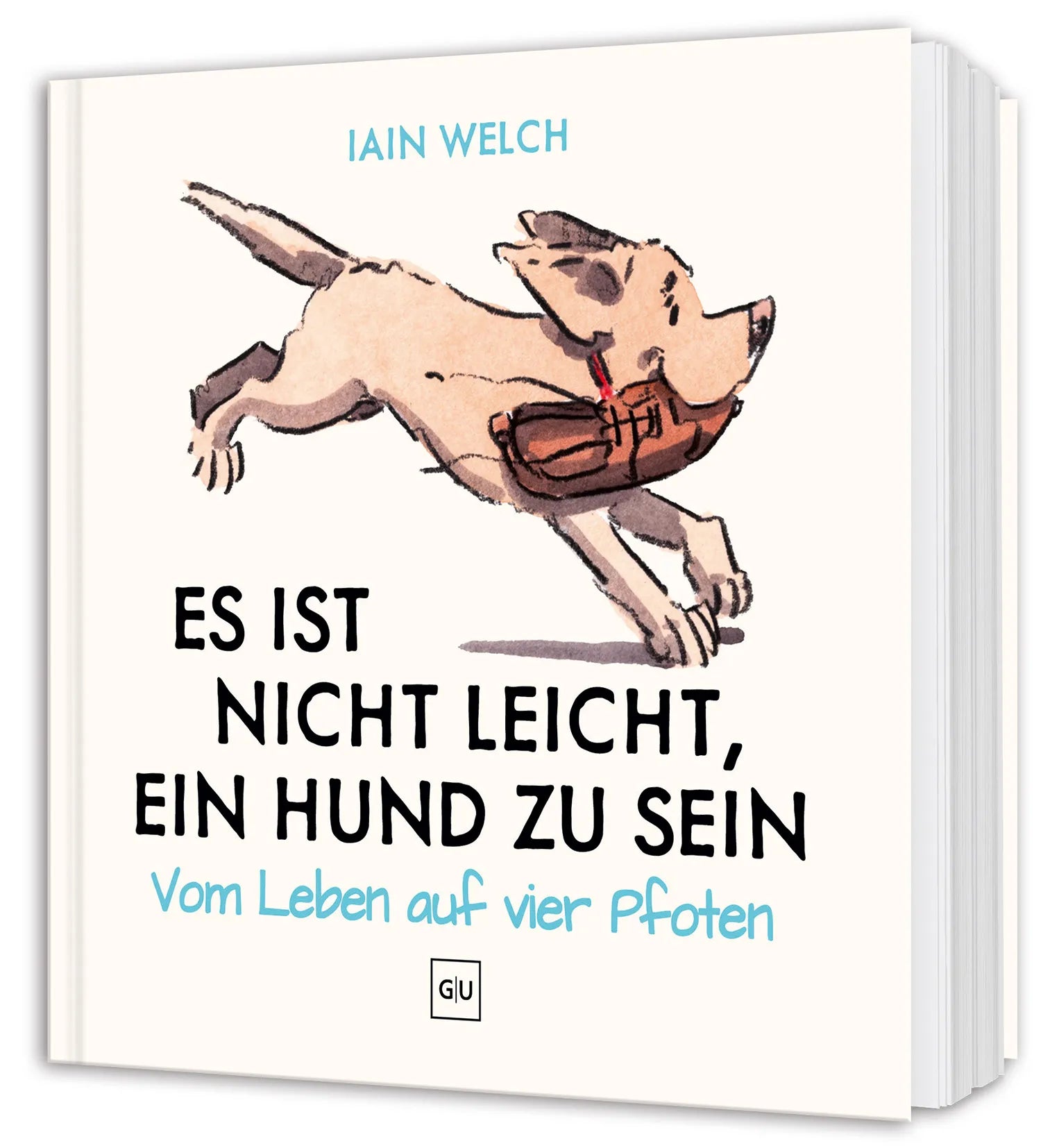 Cover: Es ist nicht leicht, ein Hund zu sein (Hardcover) von Iain Welch