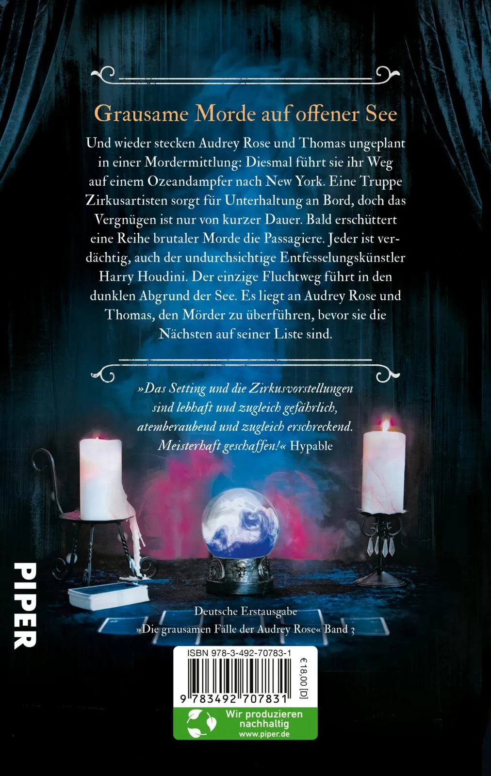 Buchrückseite von 'Escaping from Houdini' mit Klappentext - Paperback