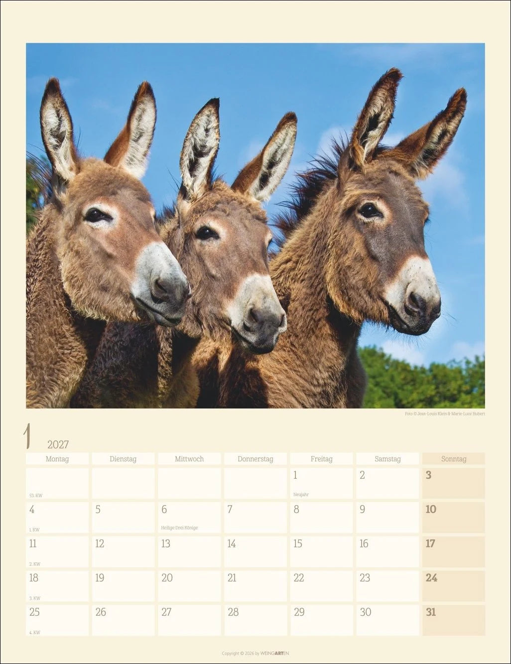 Esel Kalender 2027 – Ansicht