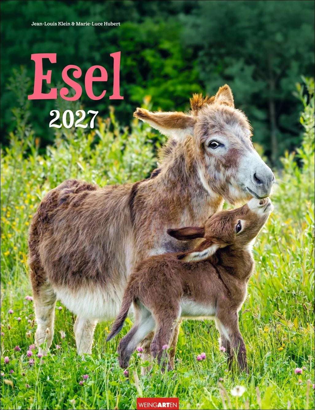 Wandkalender: Esel Kalender 2027
