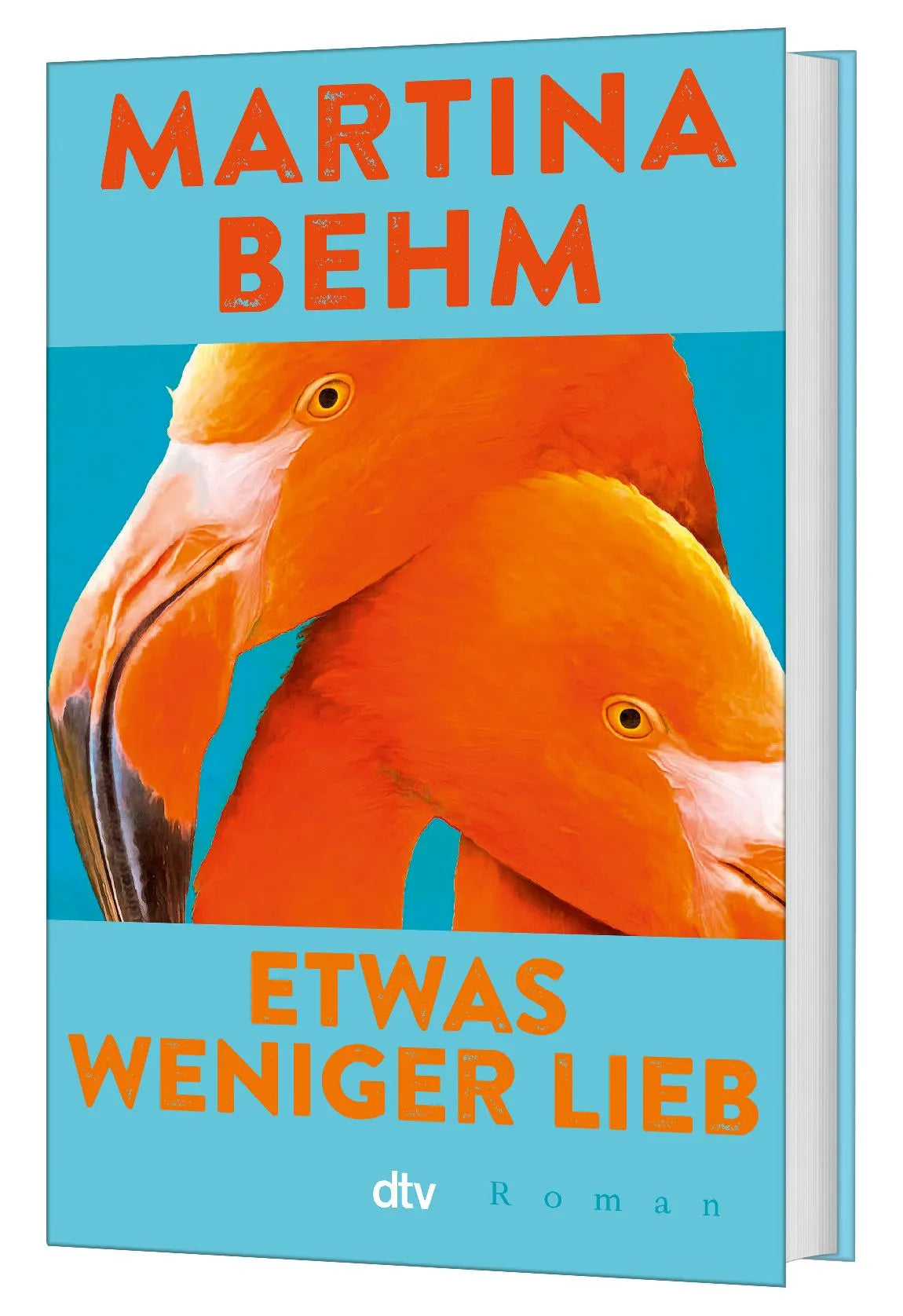 Detailansicht: Etwas weniger lieb (Hardcover)