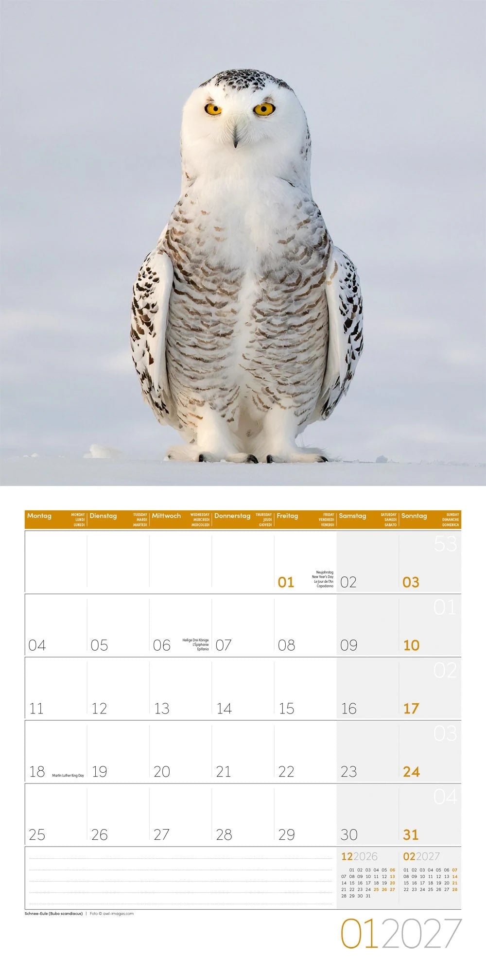 Eulen Kalender 2027 - 30x30 - Art12 – Ansicht