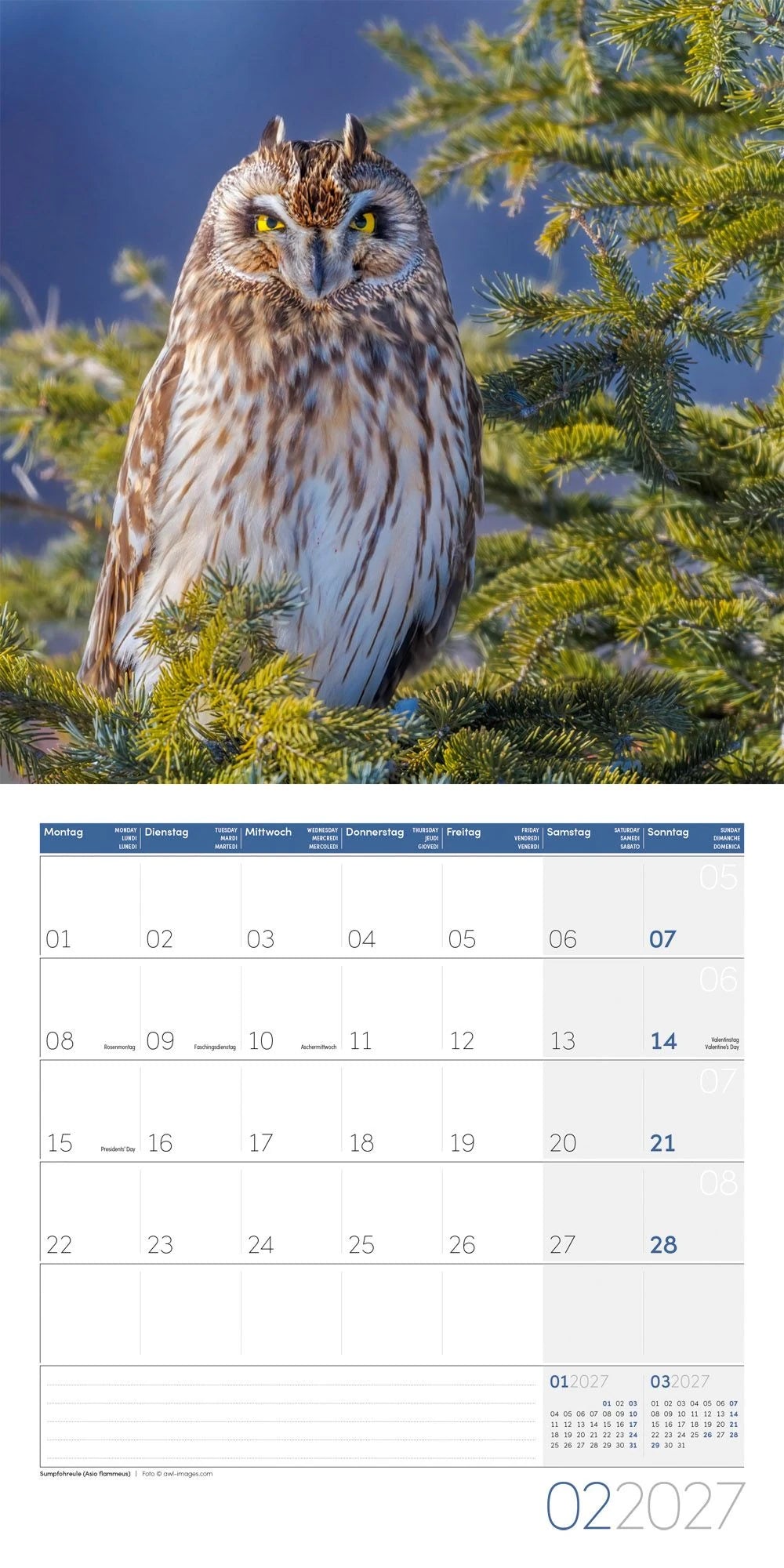 Eulen Kalender 2027 - 30x30 - Art12 – Ansicht