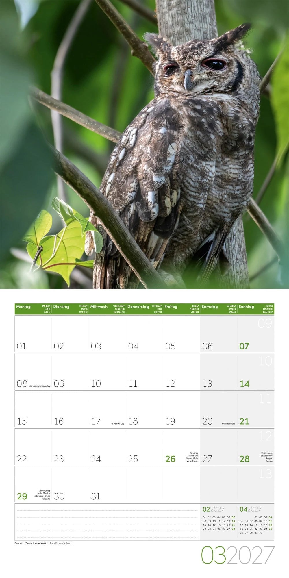 Eulen Kalender 2027 - 30x30 - Art12 – Ansicht