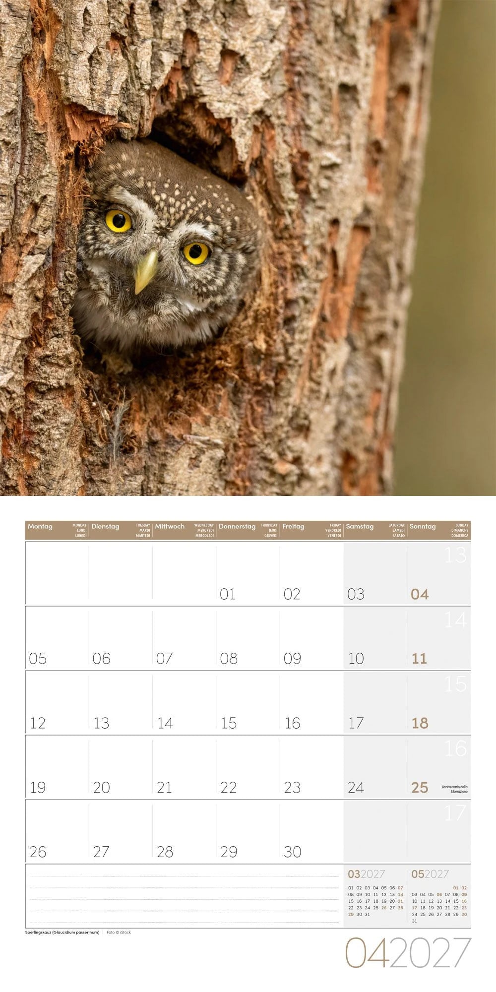 Eulen Kalender 2027 - 30x30 - Art12 – Ansicht