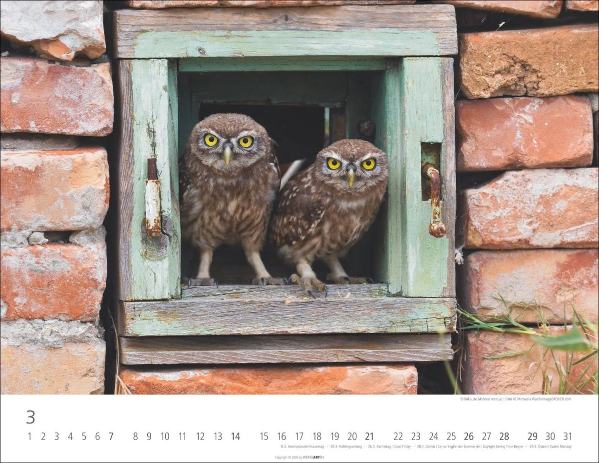 Eulen Kalender 2027 – Ansicht