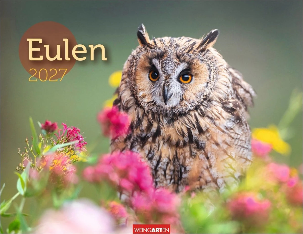 Wandkalender: Eulen Kalender 2027