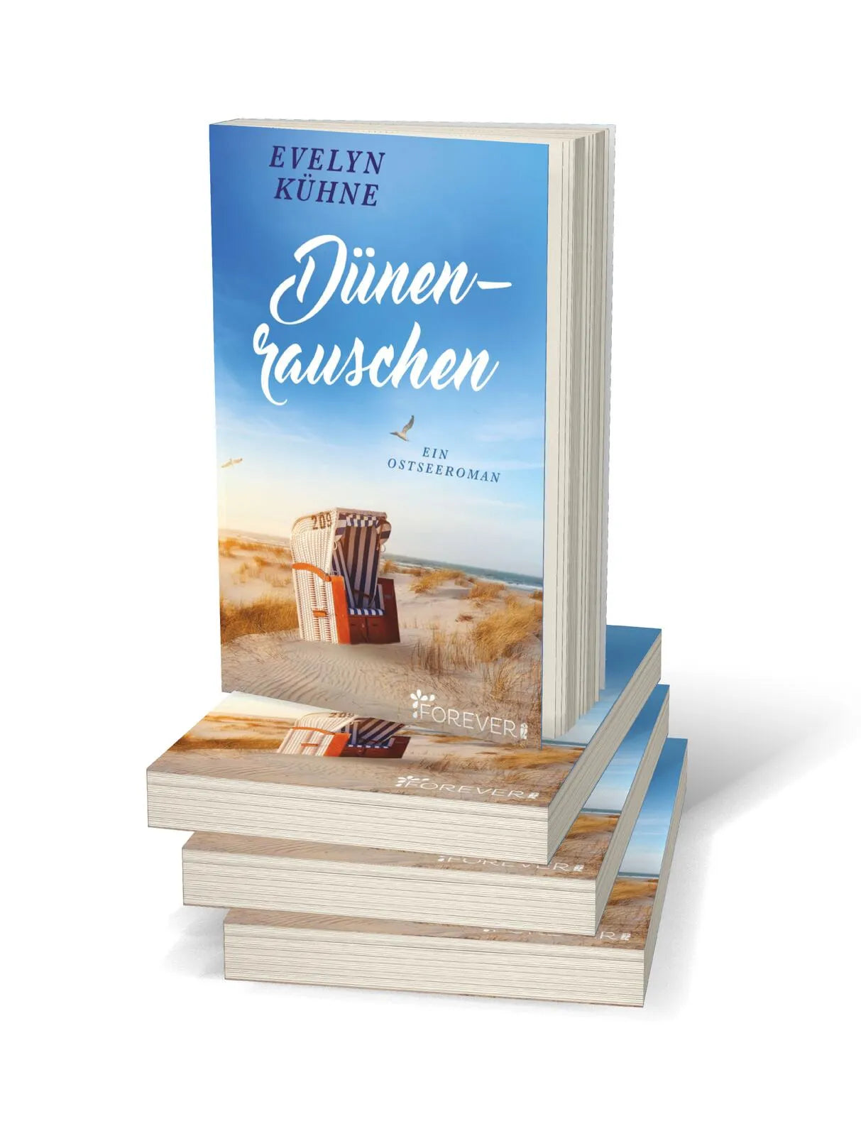 Produktansicht: Dünenrauschen (Taschenbuch)