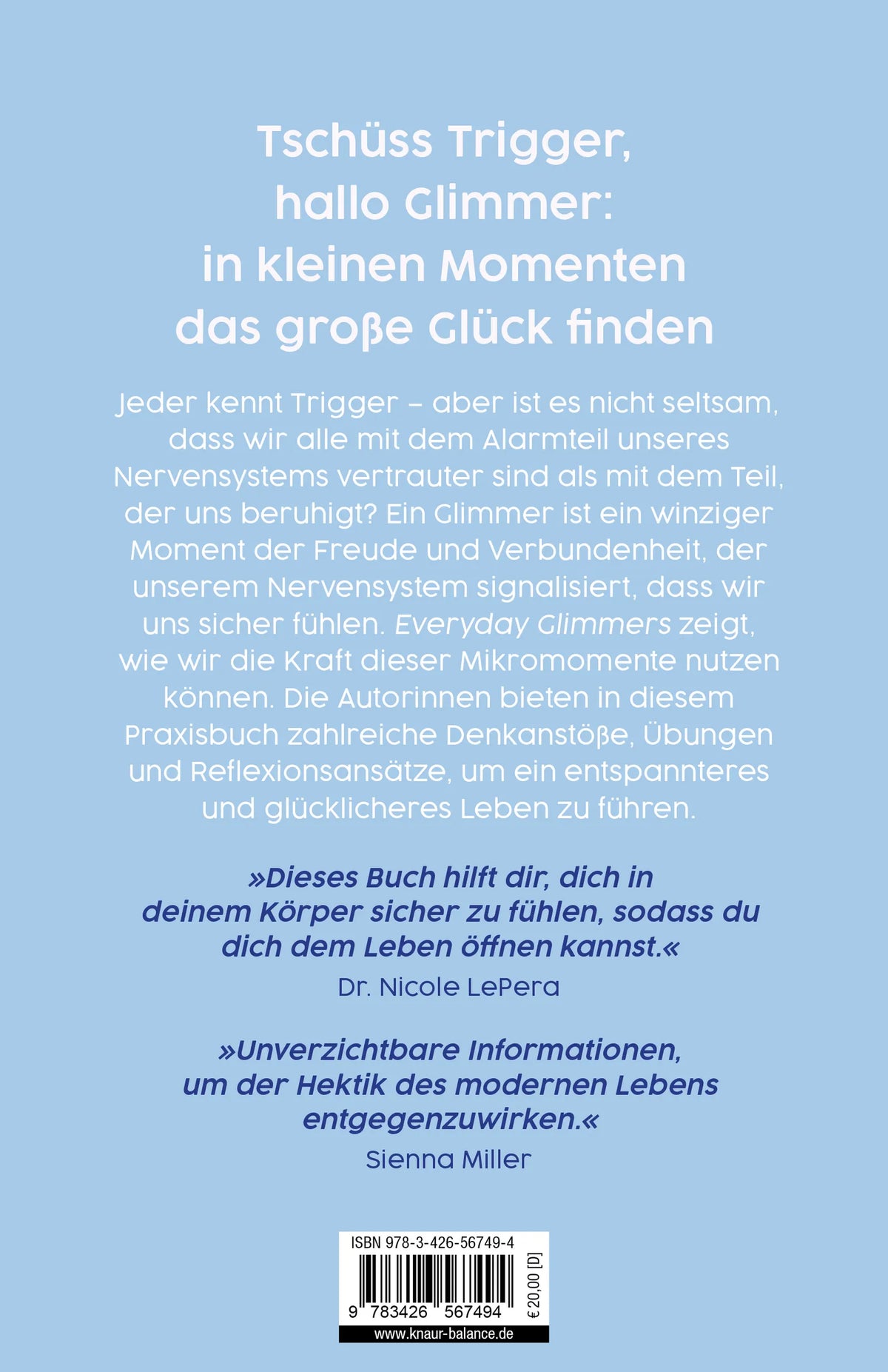 Buchrückseite von 'Everyday Glimmers' mit Klappentext - Paperback