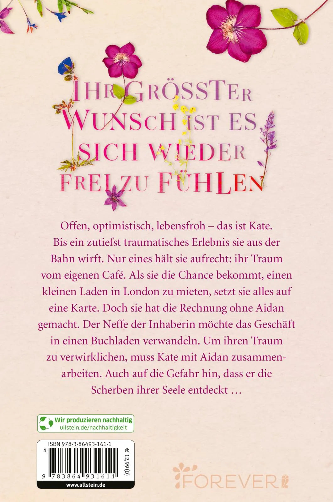 Buchrückseite von 'Everything We Had' mit Klappentext - Paperback