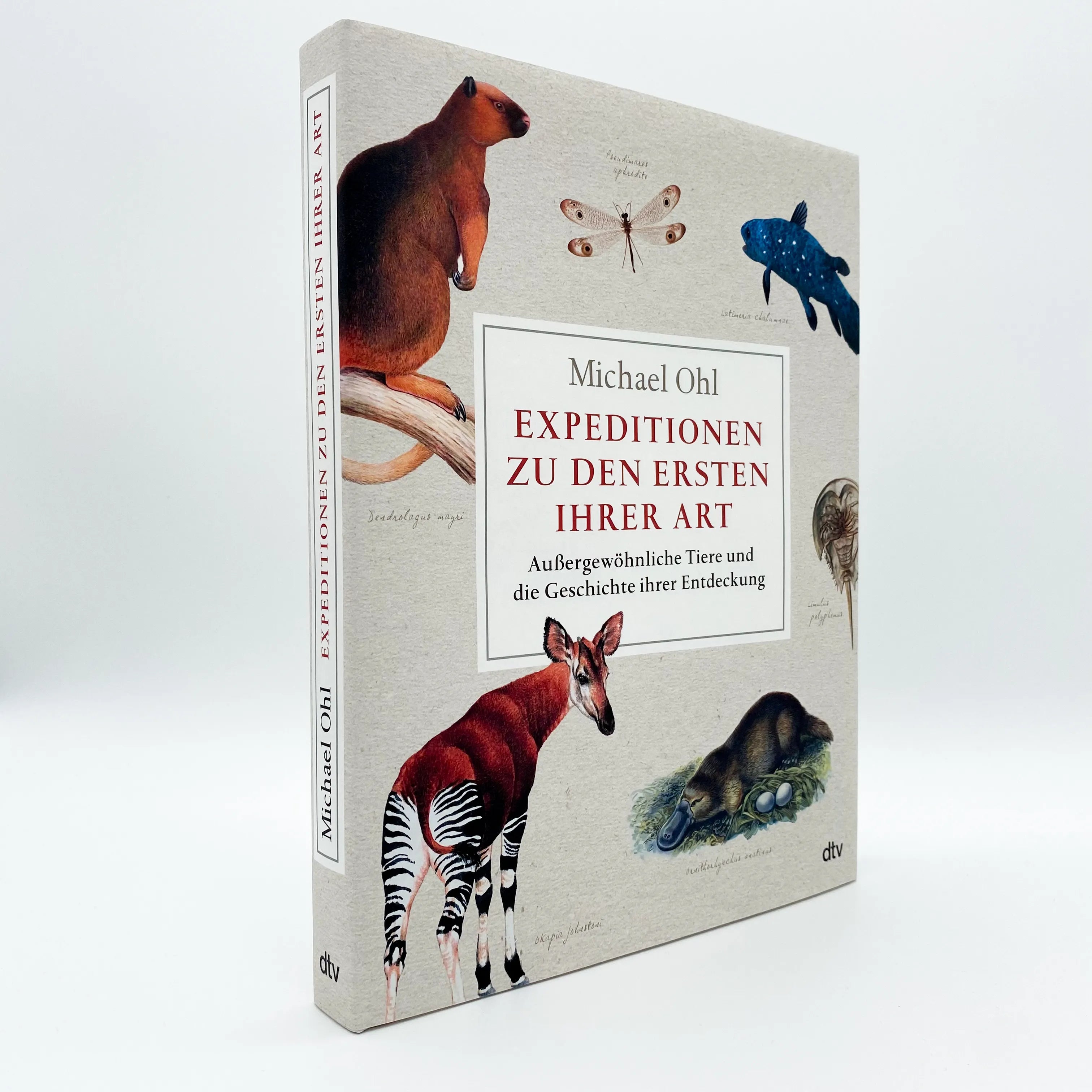 Abbildung von 'Expeditionen zu den Ersten ihrer Art'