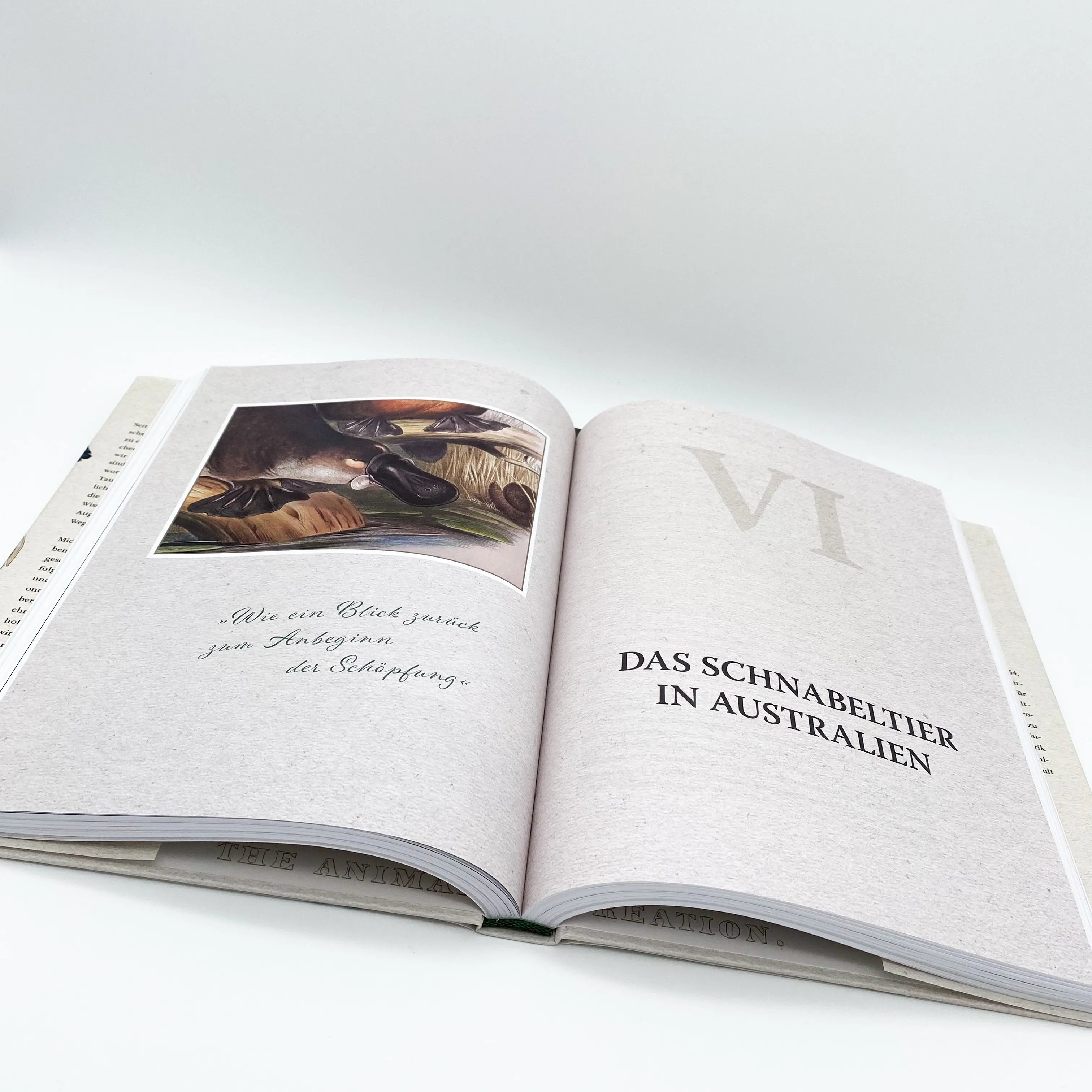 Produktansicht: Expeditionen zu den Ersten ihrer Art (Gebundene Ausgabe)