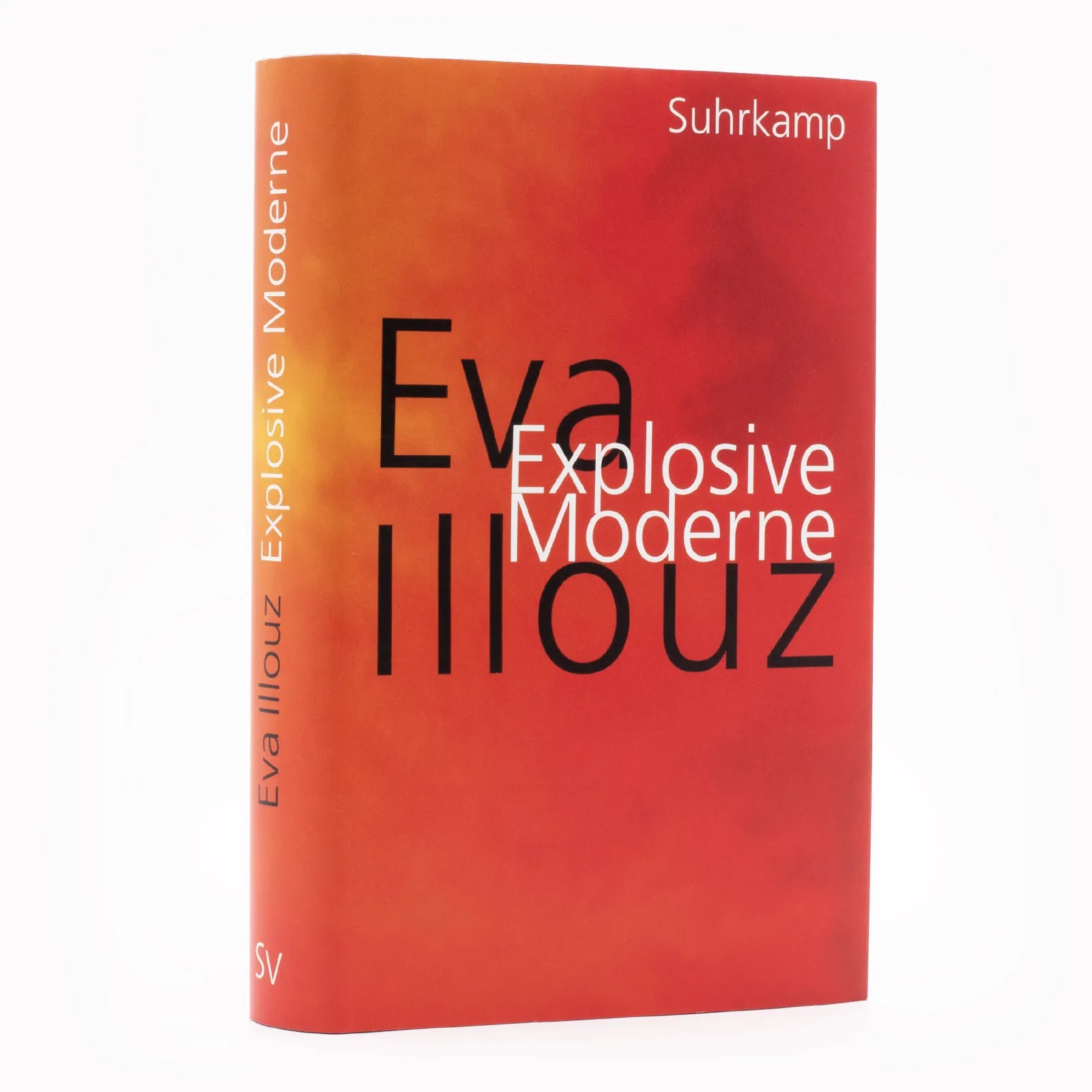 Abbildung von 'Explosive Moderne'