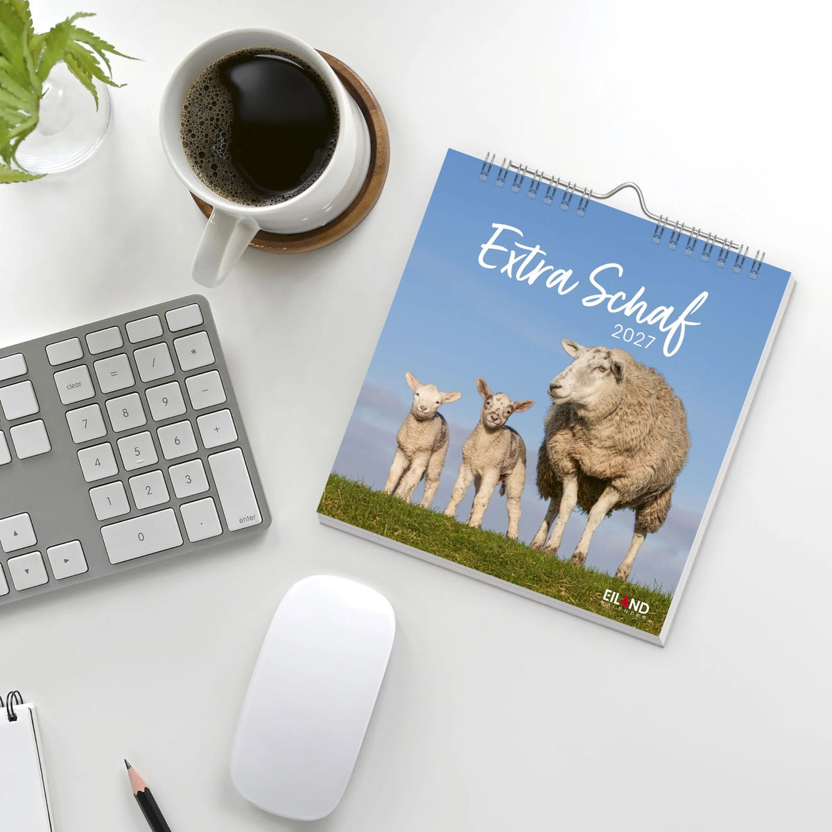 Extra Schaf Postkartenkalender 2027 – Ansicht