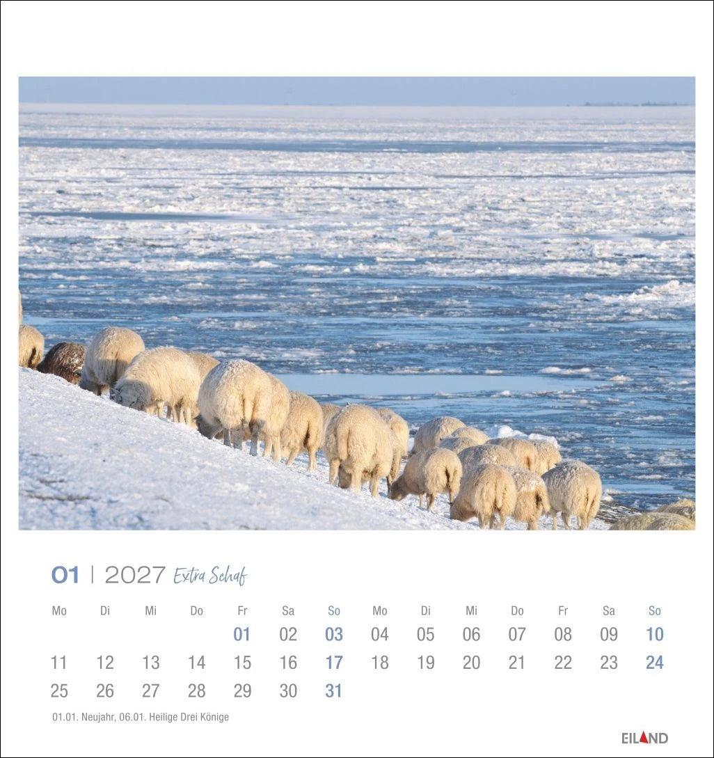 Extra Schaf Postkartenkalender 2027 – Ansicht