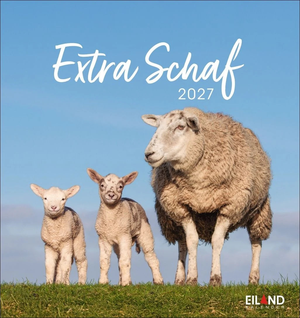 Postkartenkalender: Extra Schaf Postkartenkalender 2027