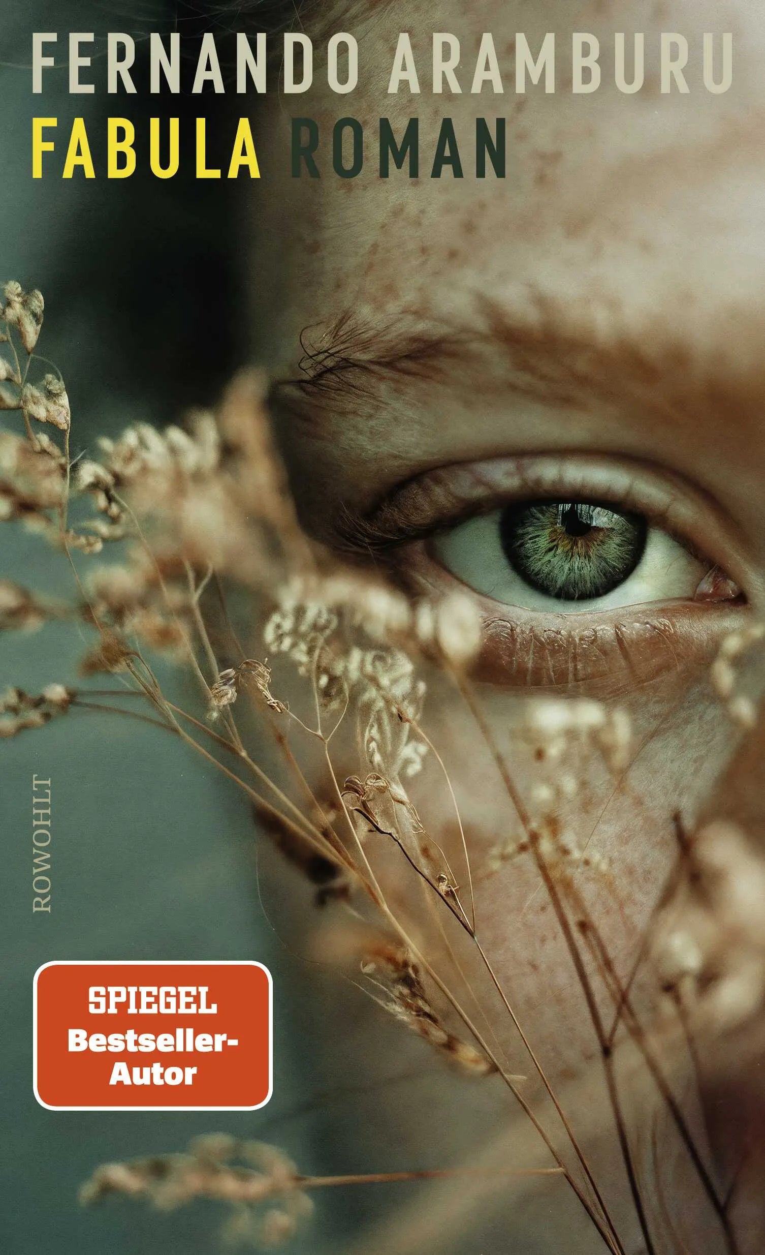 Buchcover von 'Fabula' - Gebundene Ausgabe von Fernando Aramburu