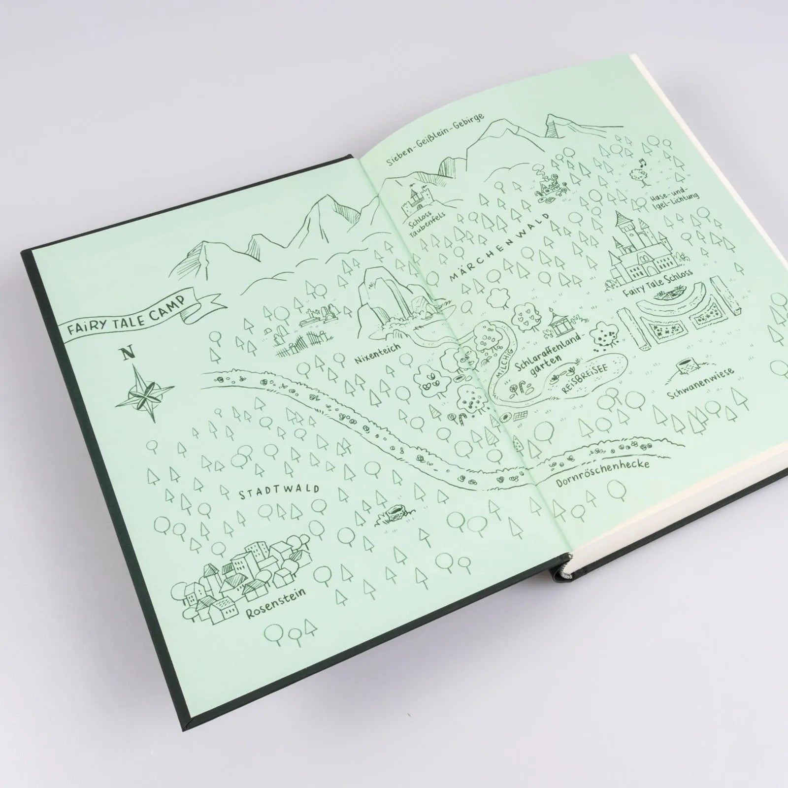 Produktansicht: Fairy Tale Camp 2: Eine Freundschaft wie im Märchen (Gebundene Ausgabe)