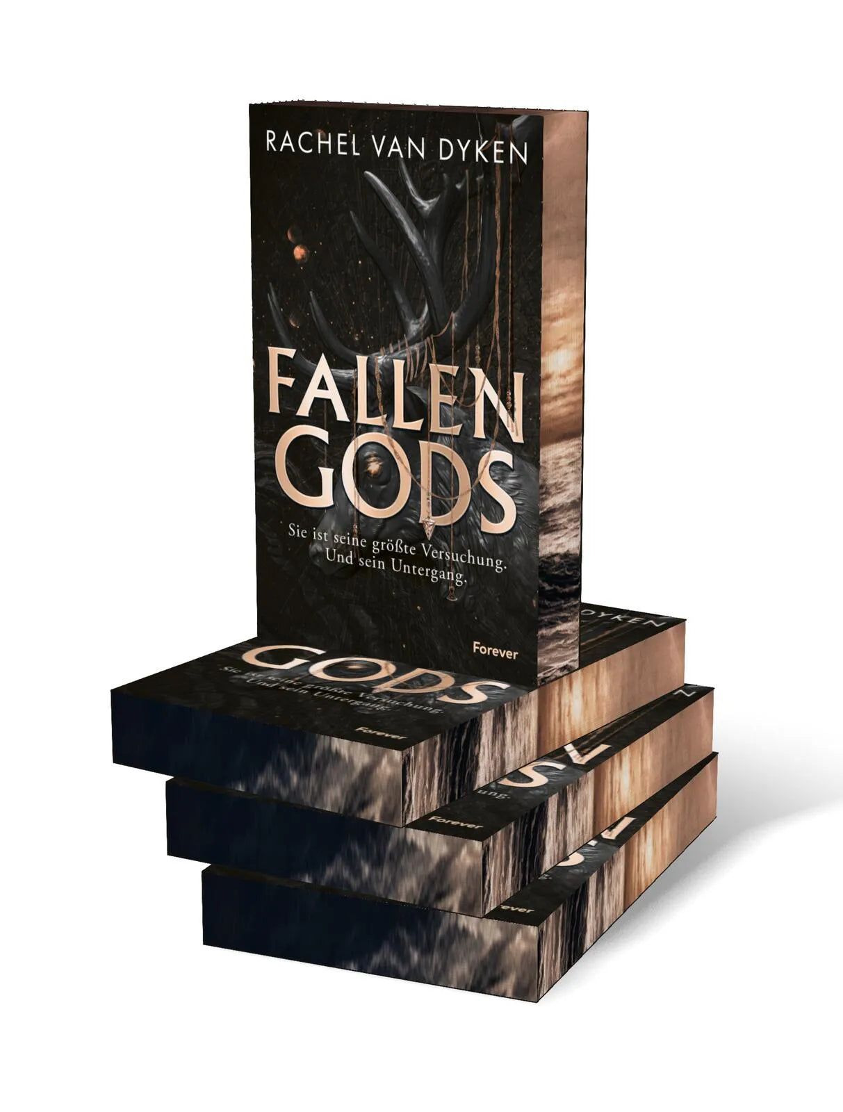 Rachel van Dyken - Fallen Gods
