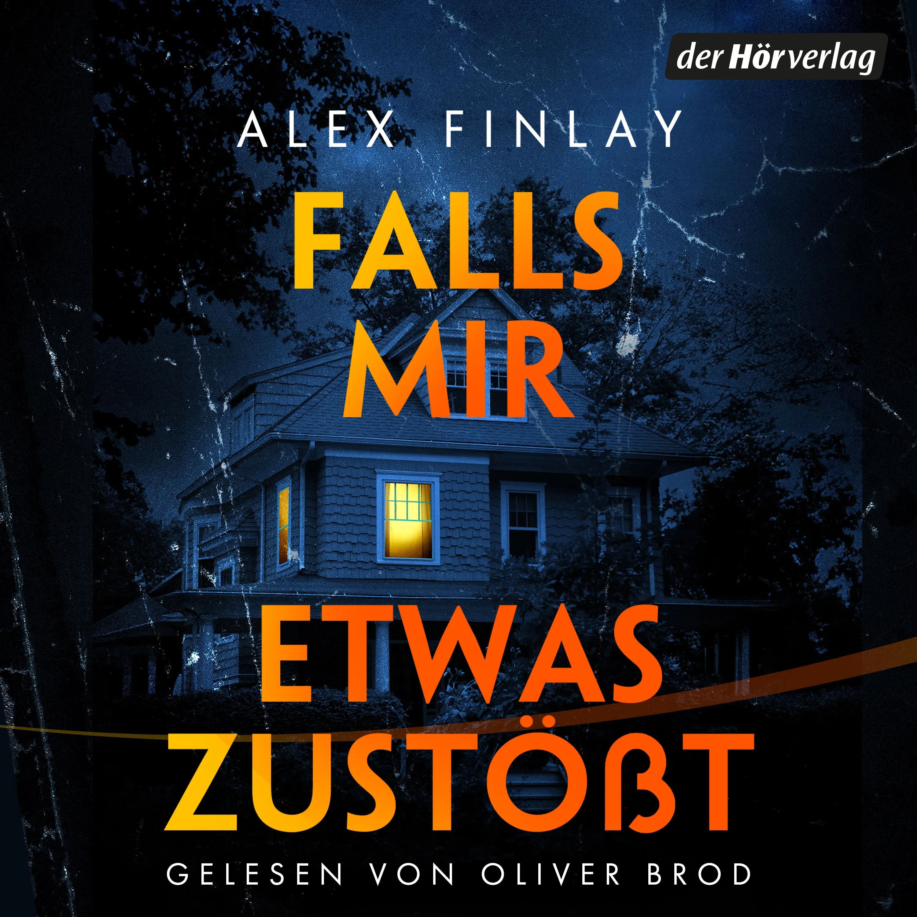 Cover: Falls mir etwas zustößt (Hörbuch Download) von Alex Finlay