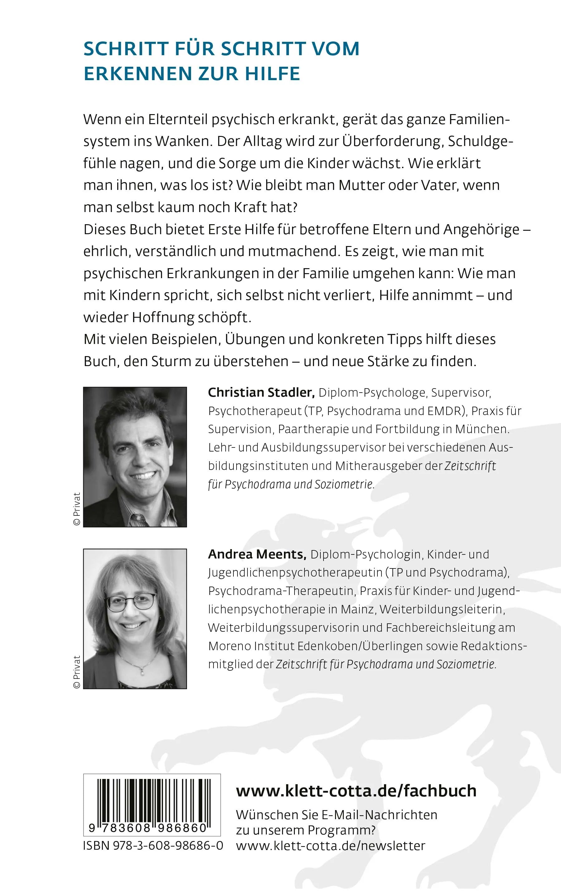 Buchrückseite von 'Familie im Sturm' mit Klappentext - Paperback