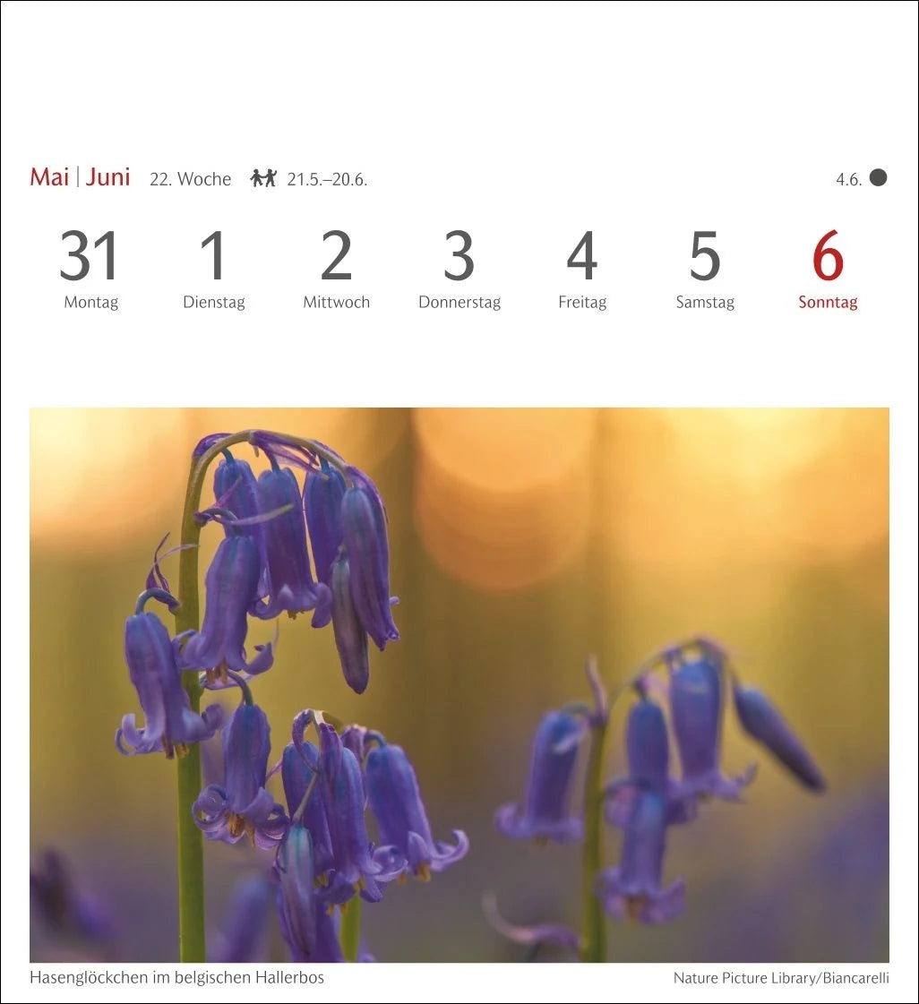 Farben der Natur Postkartenkalender 2027 - Wochenkalender mit 53 Postkarten – Ansicht