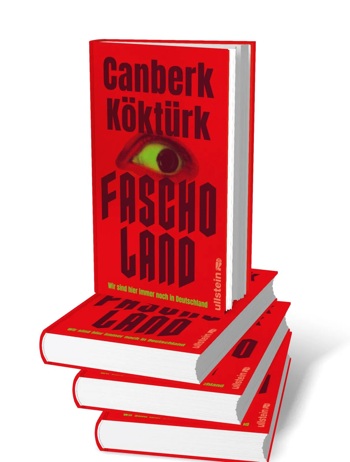Detailansicht: FASCHOLAND (Hardcover)
